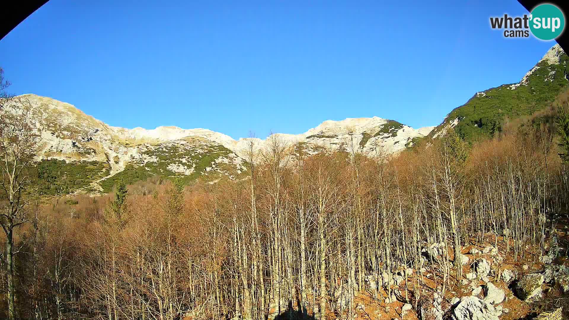 PLANINA RAZOR webcam (1315) | view to Vogel and Globoko