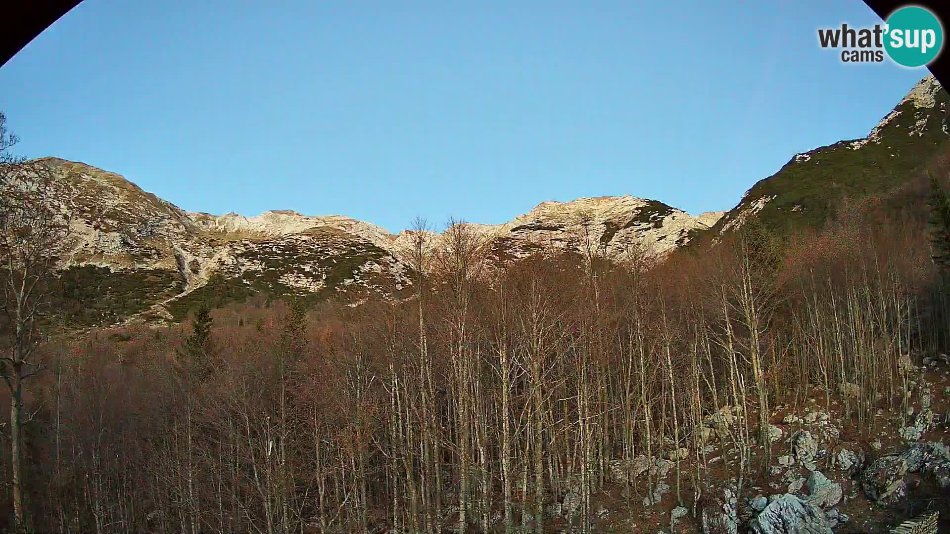 Livecam PLANINA RAZOR (1315) | vue sur Vogel et Globoko