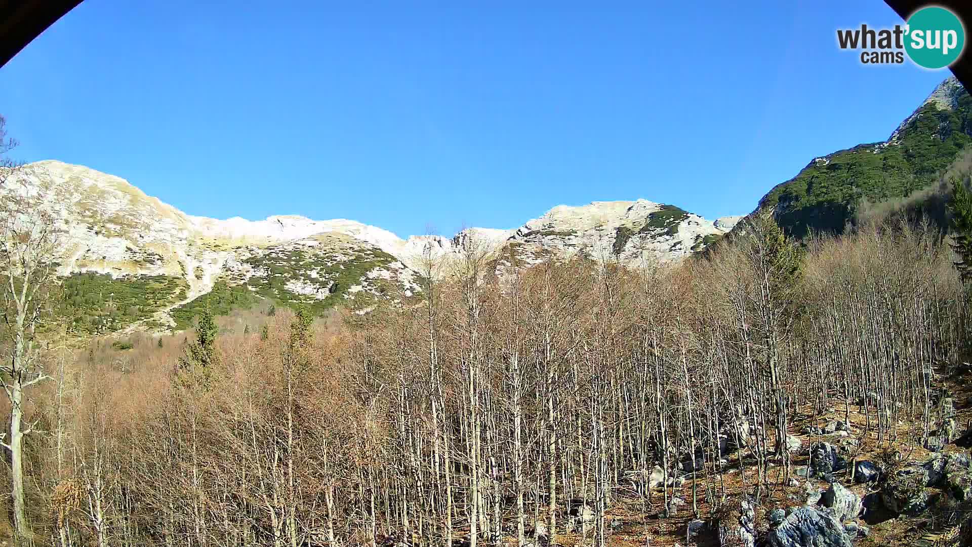 PLANINA RAZOR Live Cam (1315) | vista su Vogel e Globoko