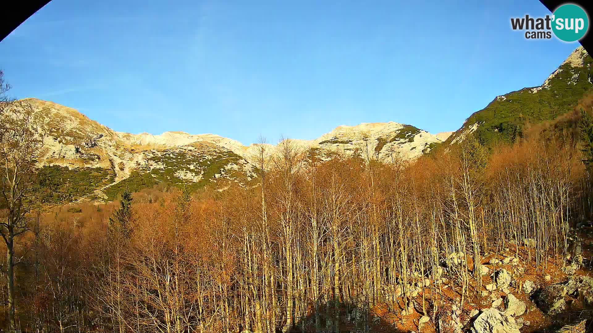 PLANINA RAZOR web kamera (1315) | pogled na Vogel i Globoko