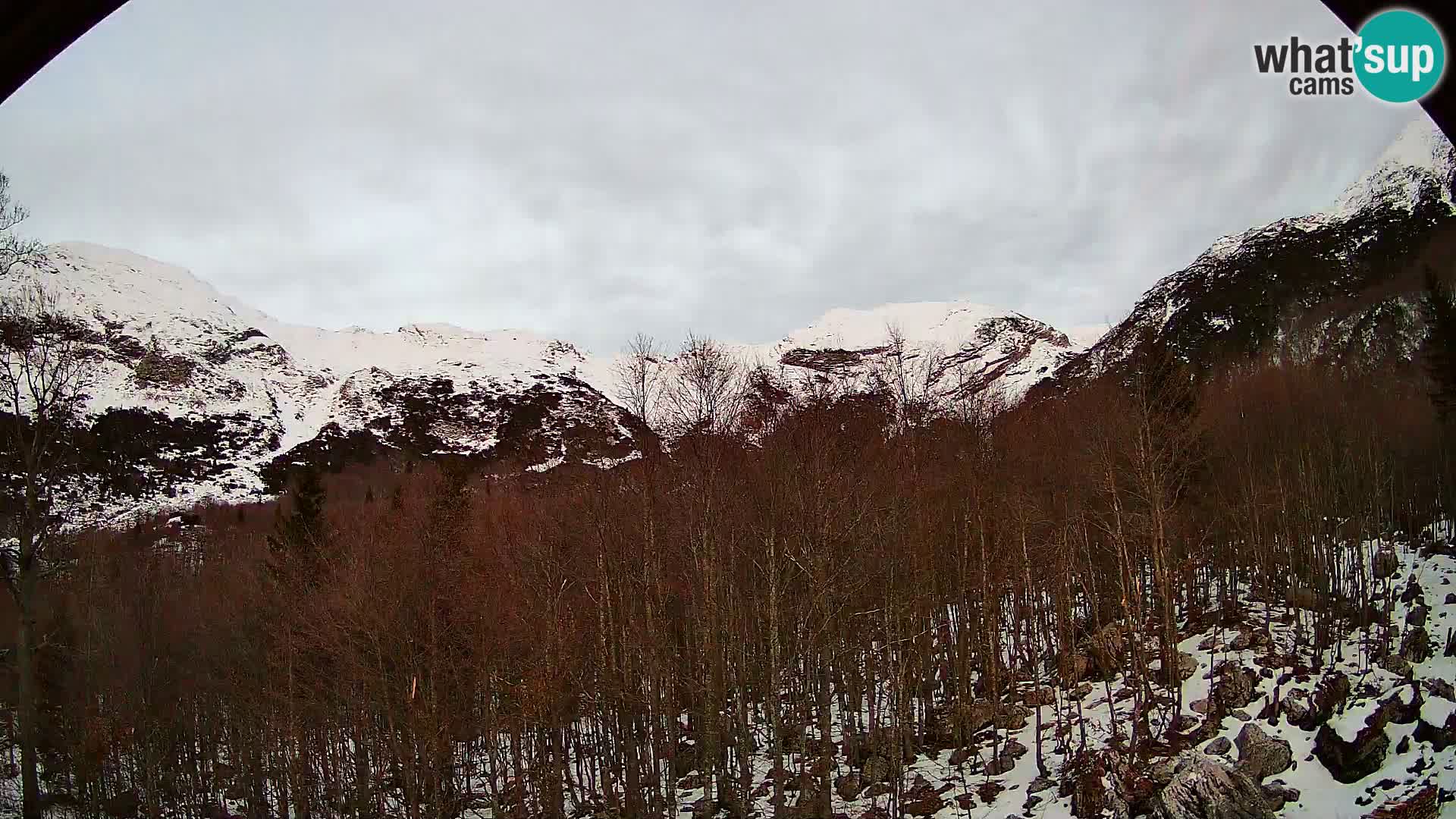 Livecam PLANINA RAZOR (1315) | vue sur Vogel et Globoko
