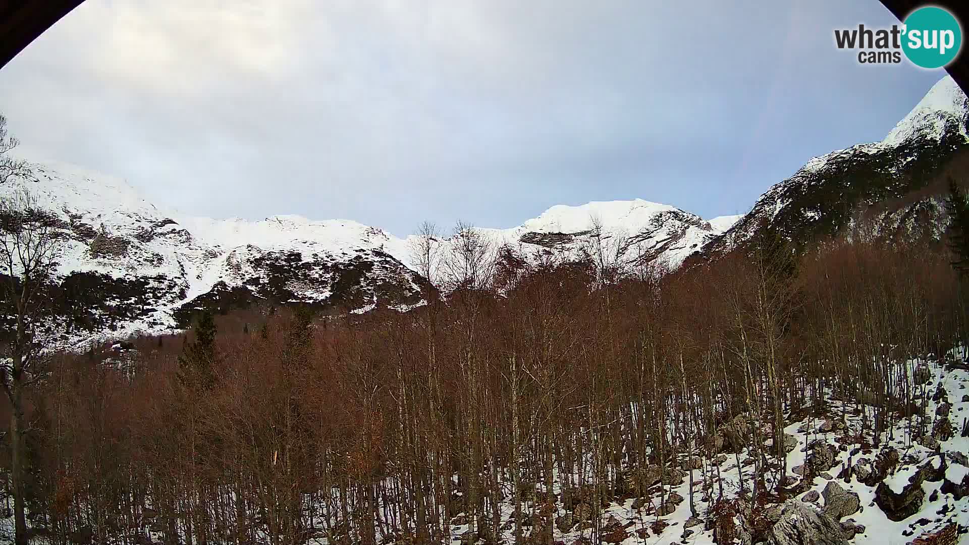 PLANINA RAZOR webcam (1315) | view to Vogel and Globoko