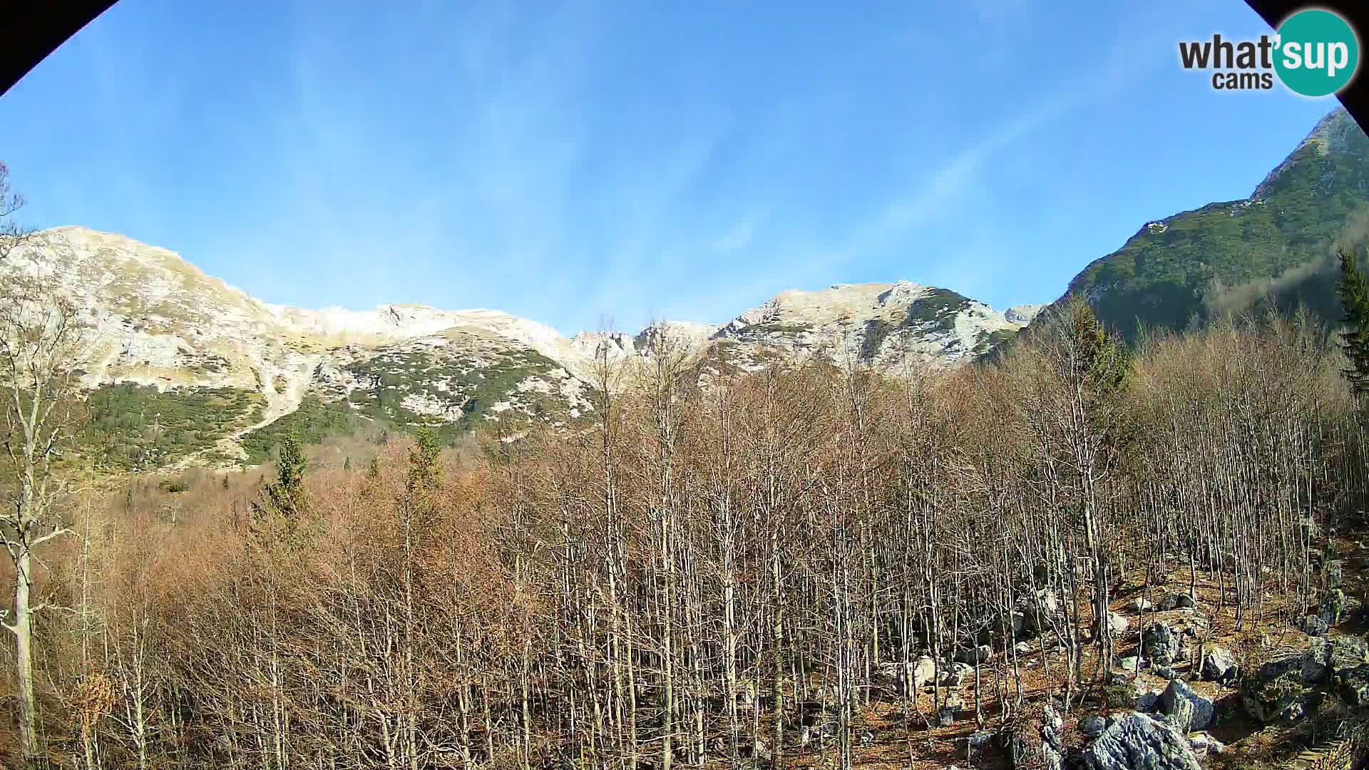 PLANINA RAZOR webcam (1315) | view to Vogel and Globoko