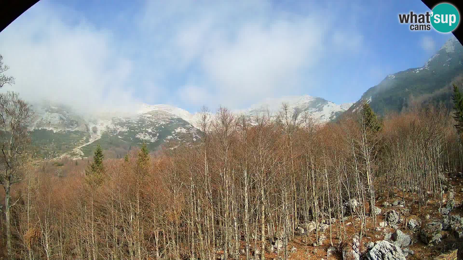 PLANINA RAZOR webcam (1315) | view to Vogel and Globoko