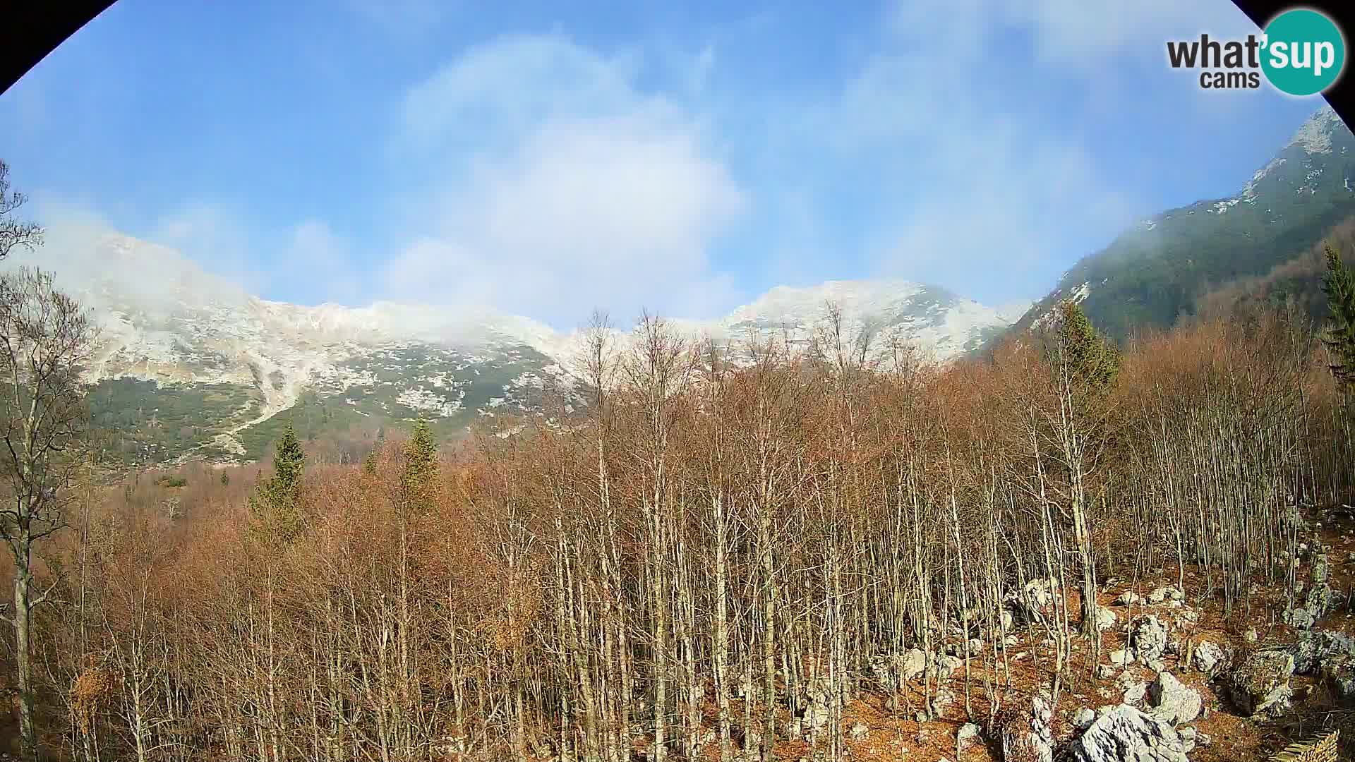 Webcam PLANINA RAZOR (1315) | Blick auf Vogel und Globoko
