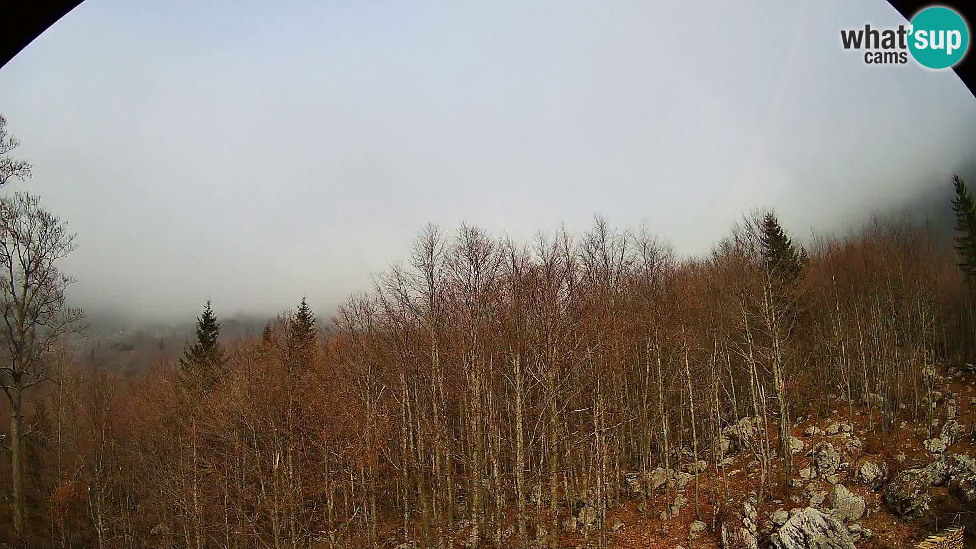 PLANINA RAZOR kamera (1315) | pogled na Vogel in Globoko