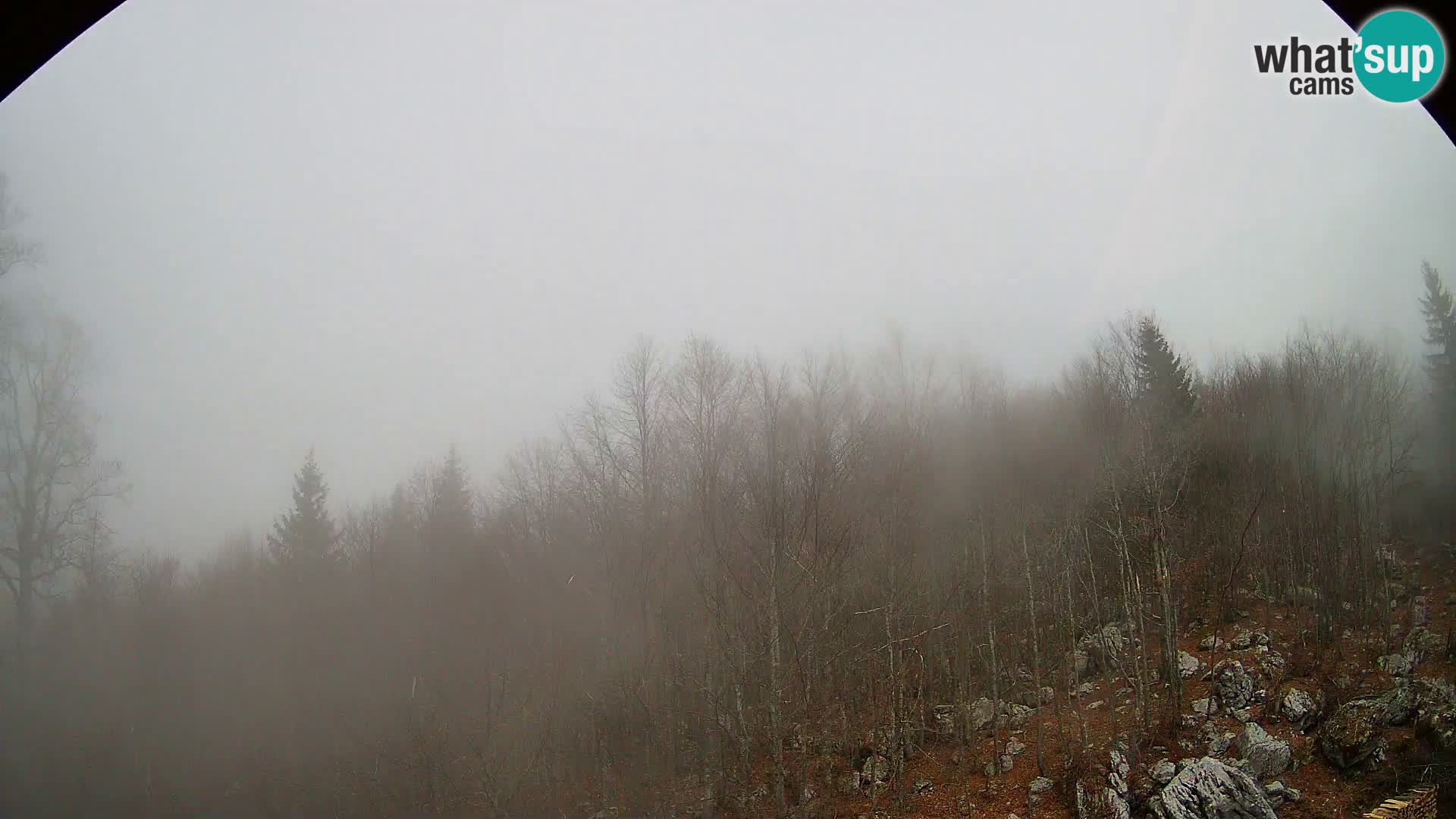 Cámara web PLANINA RAZOR (1315) | vista a Vogel y Globoko