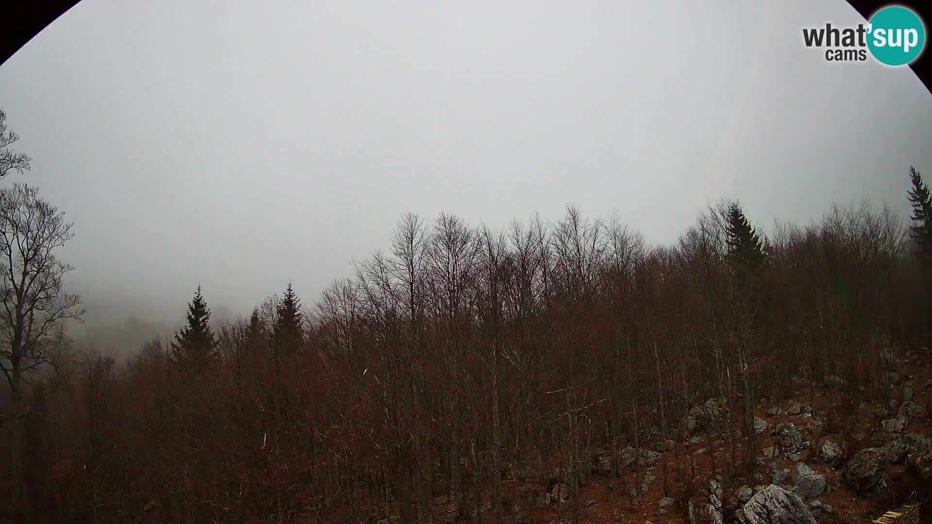 Webcam PLANINA RAZOR (1315) | Blick auf Vogel und Globoko