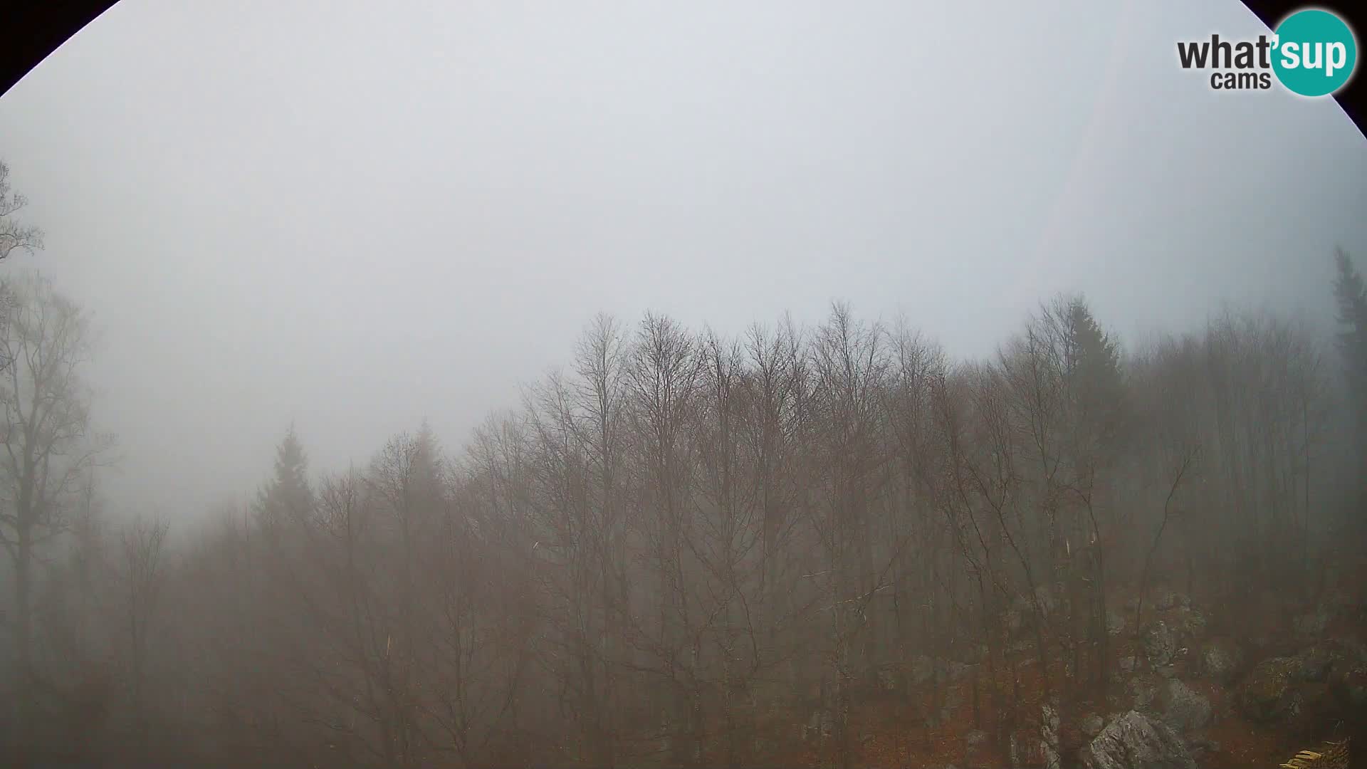 Livecam PLANINA RAZOR (1315) | vue sur Vogel et Globoko