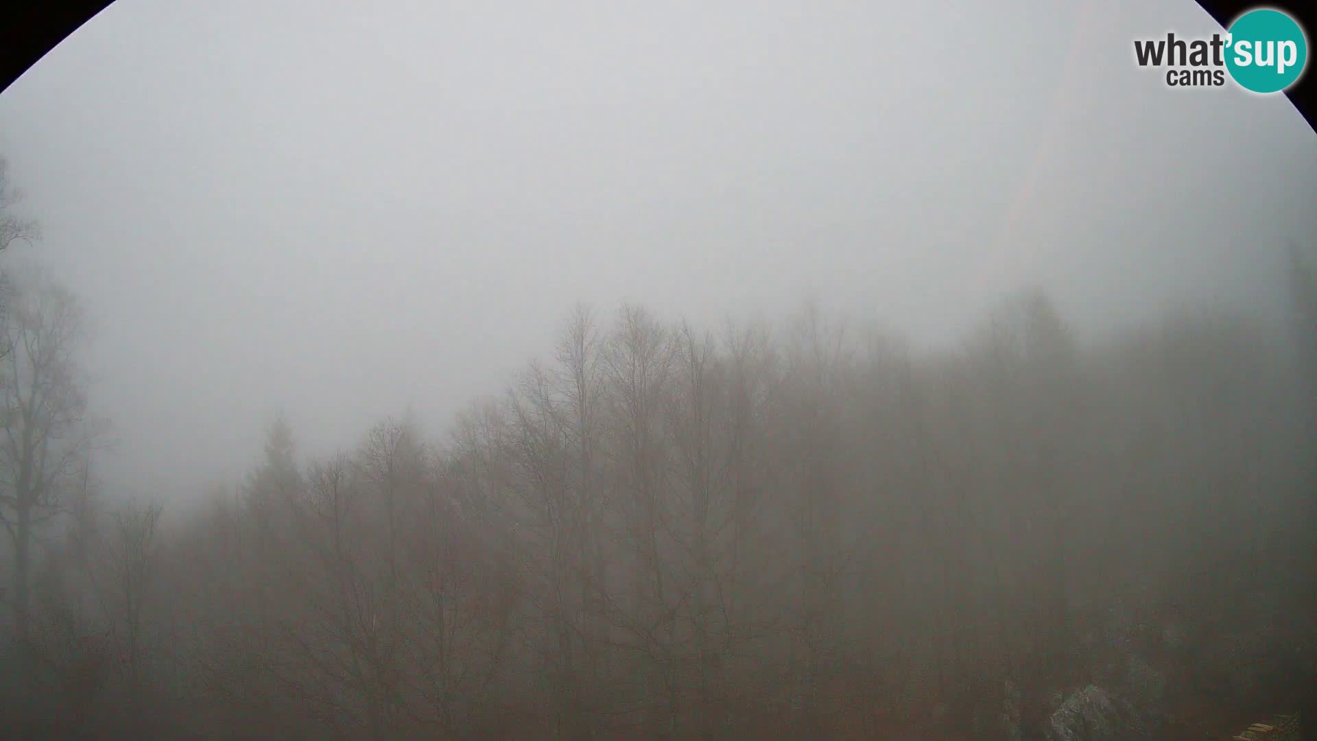 Livecam PLANINA RAZOR (1315) | vue sur Vogel et Globoko