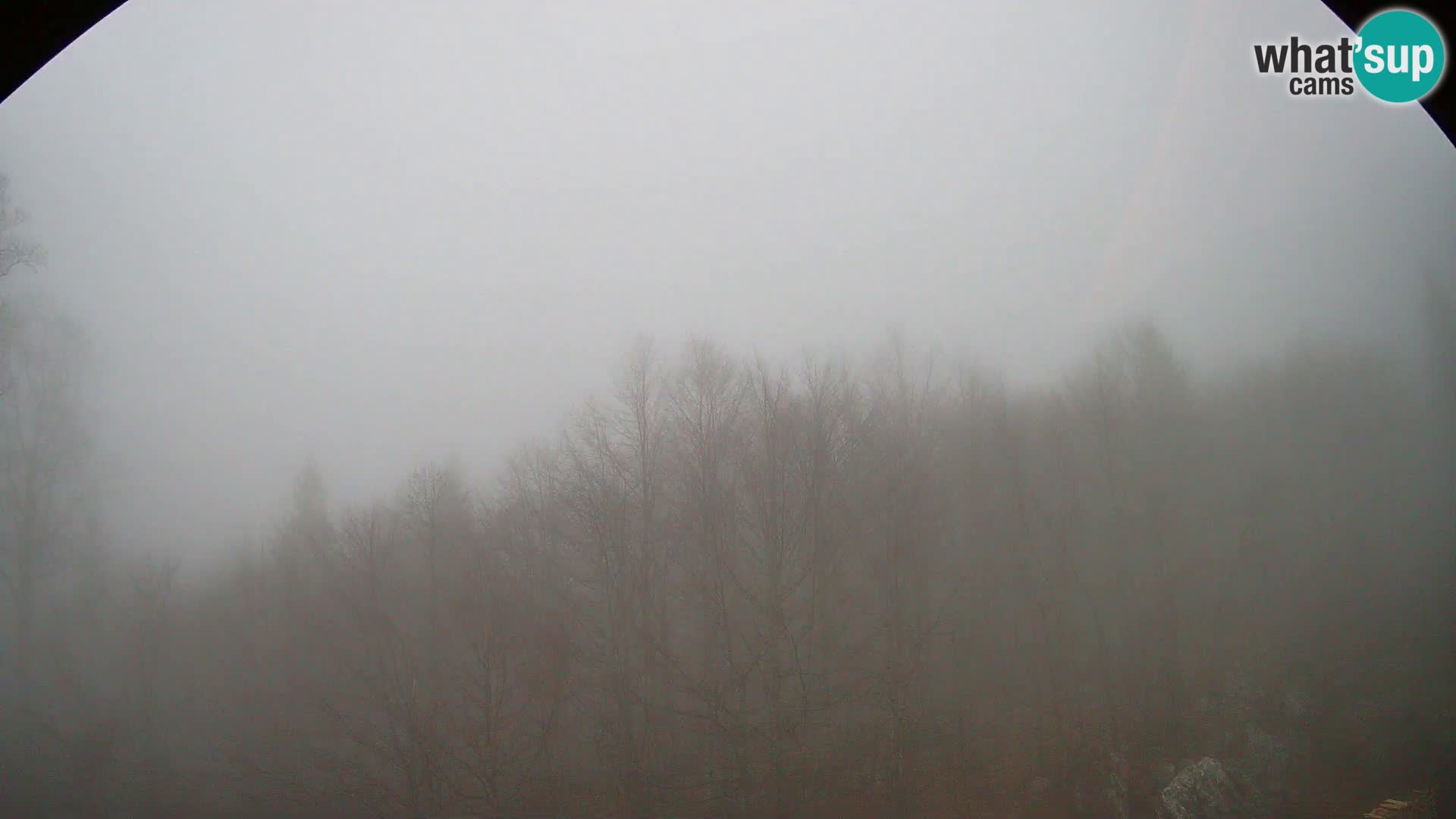 Cámara web PLANINA RAZOR (1315) | vista a Vogel y Globoko