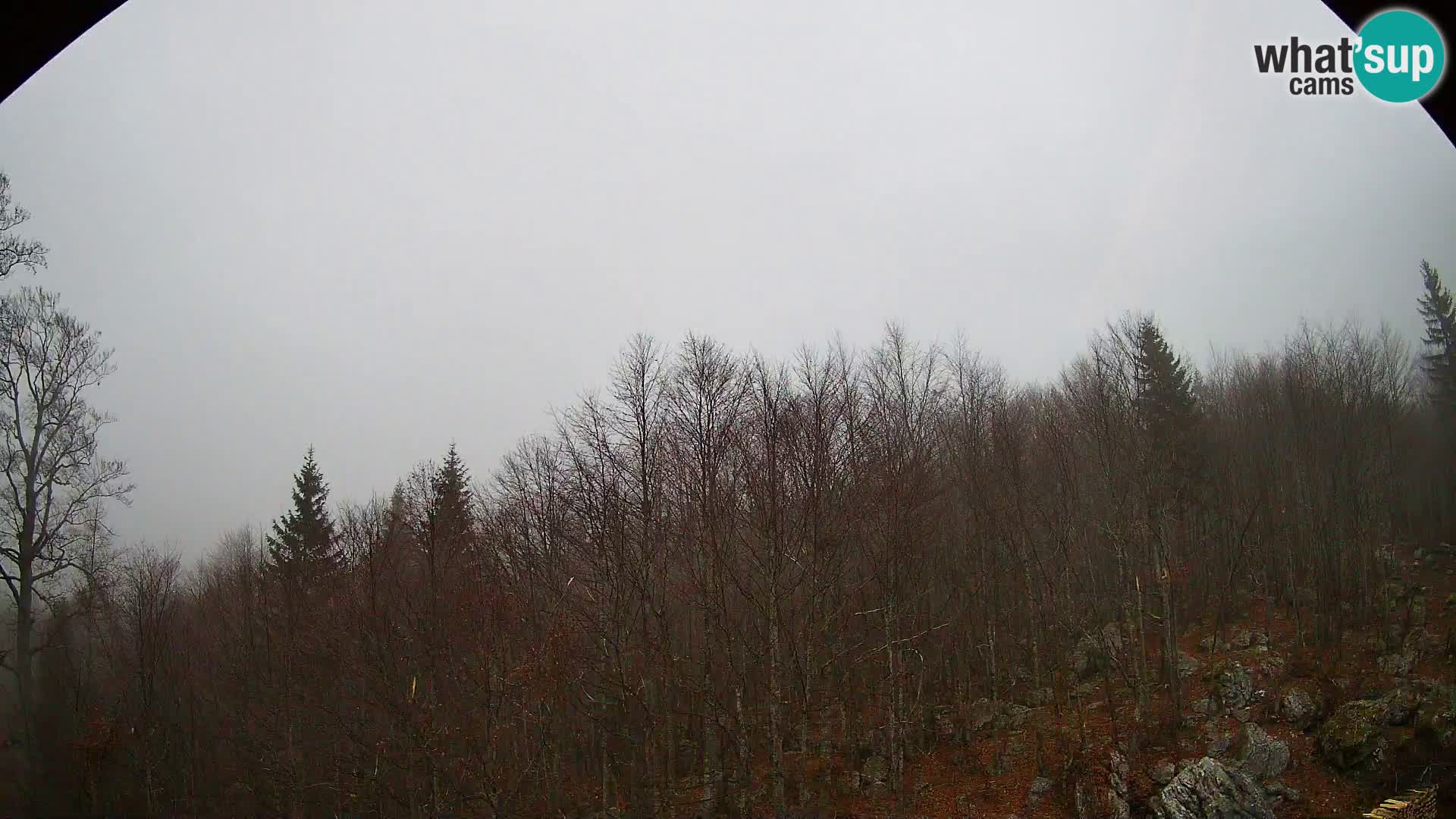 Webcam PLANINA RAZOR (1315) | Blick auf Vogel und Globoko