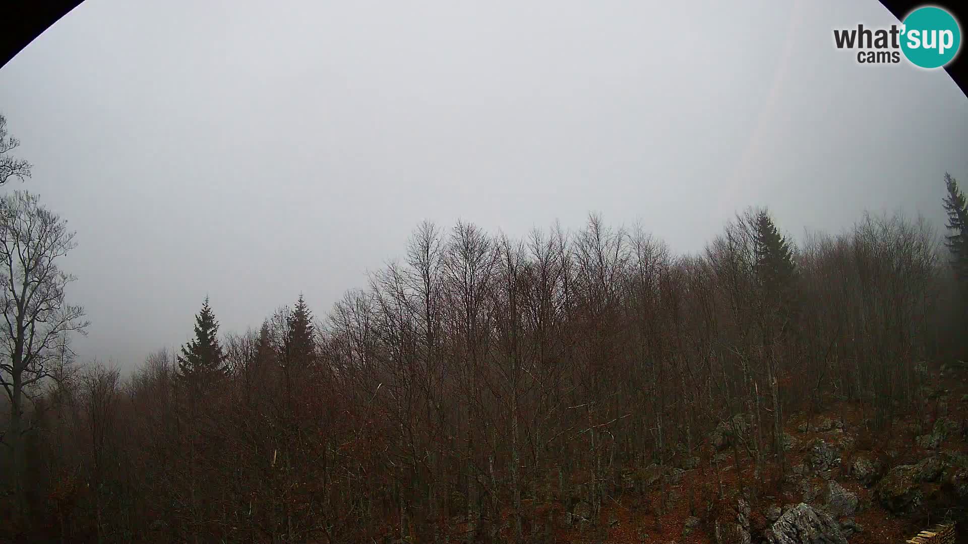 Livecam PLANINA RAZOR (1315) | vue sur Vogel et Globoko