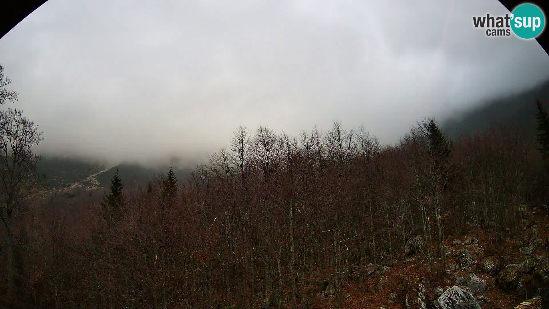 Webcam PLANINA RAZOR (1315) | Blick auf Vogel und Globoko
