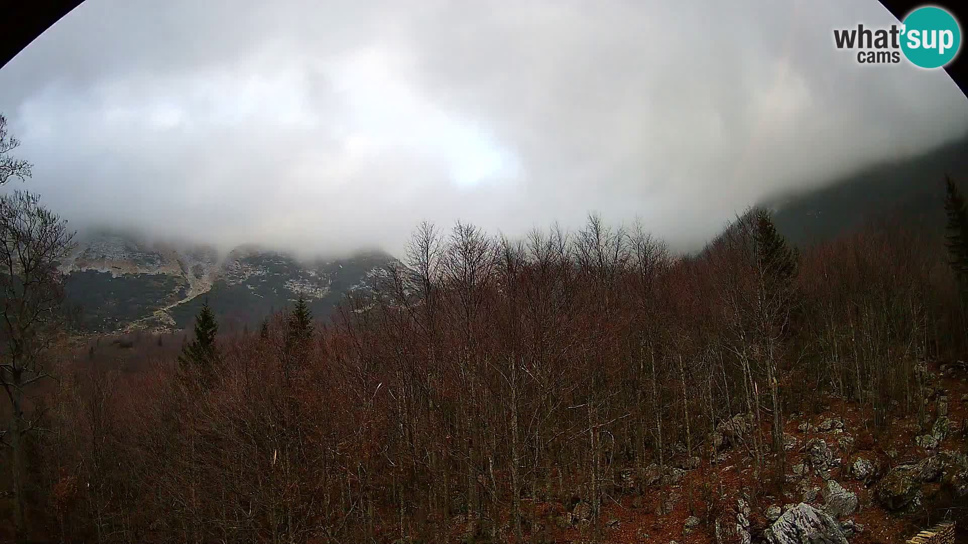 Livecam PLANINA RAZOR (1315) | vue sur Vogel et Globoko