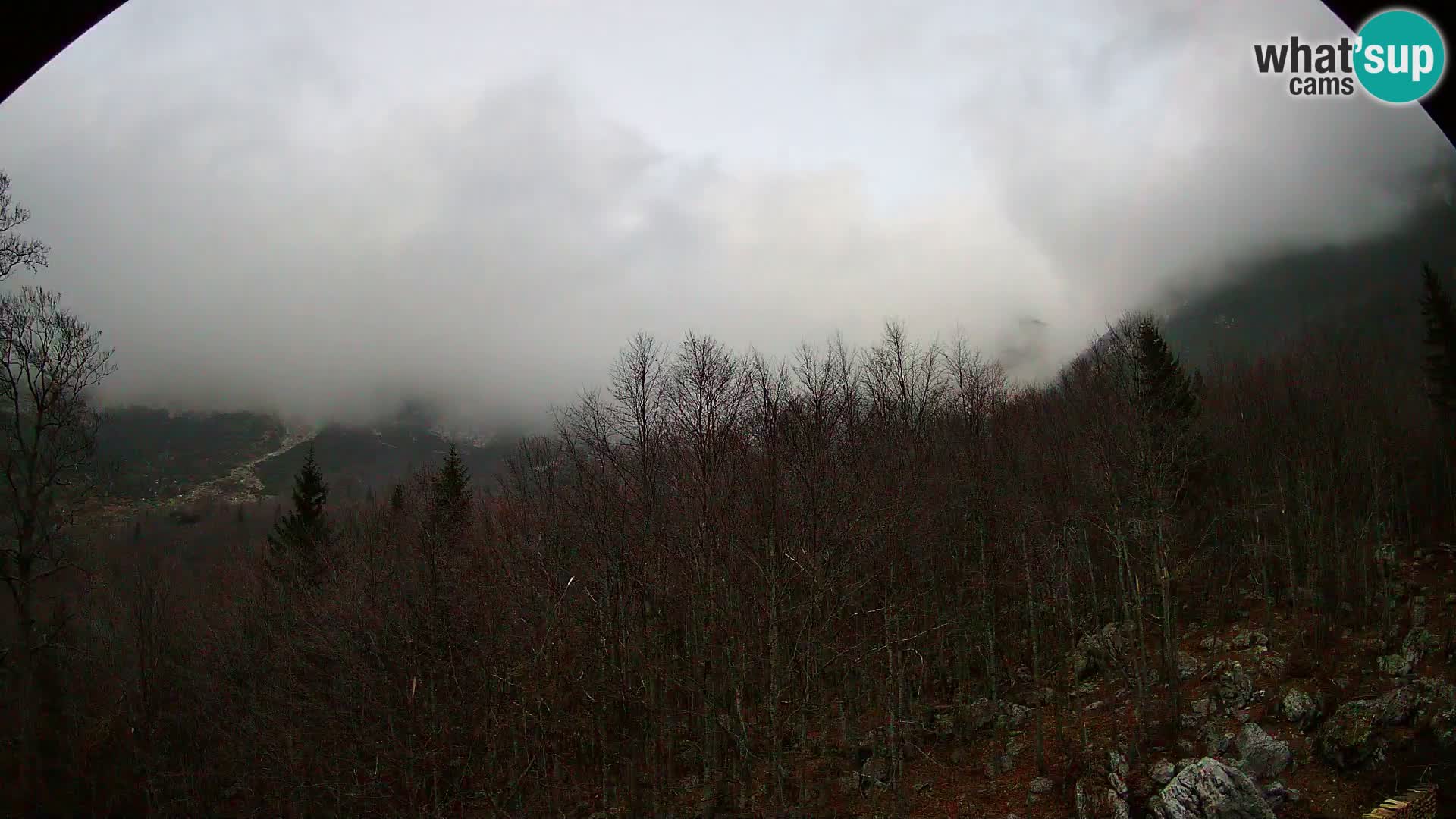 Cámara web PLANINA RAZOR (1315) | vista a Vogel y Globoko