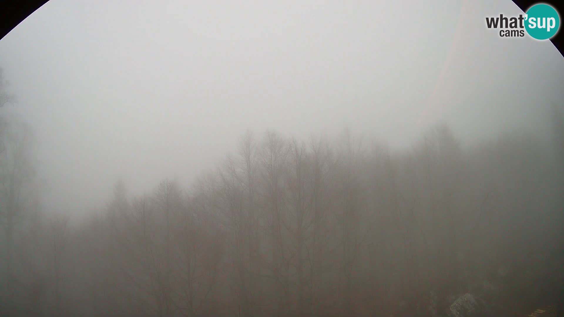 PLANINA RAZOR webcam (1315) | view to Vogel and Globoko