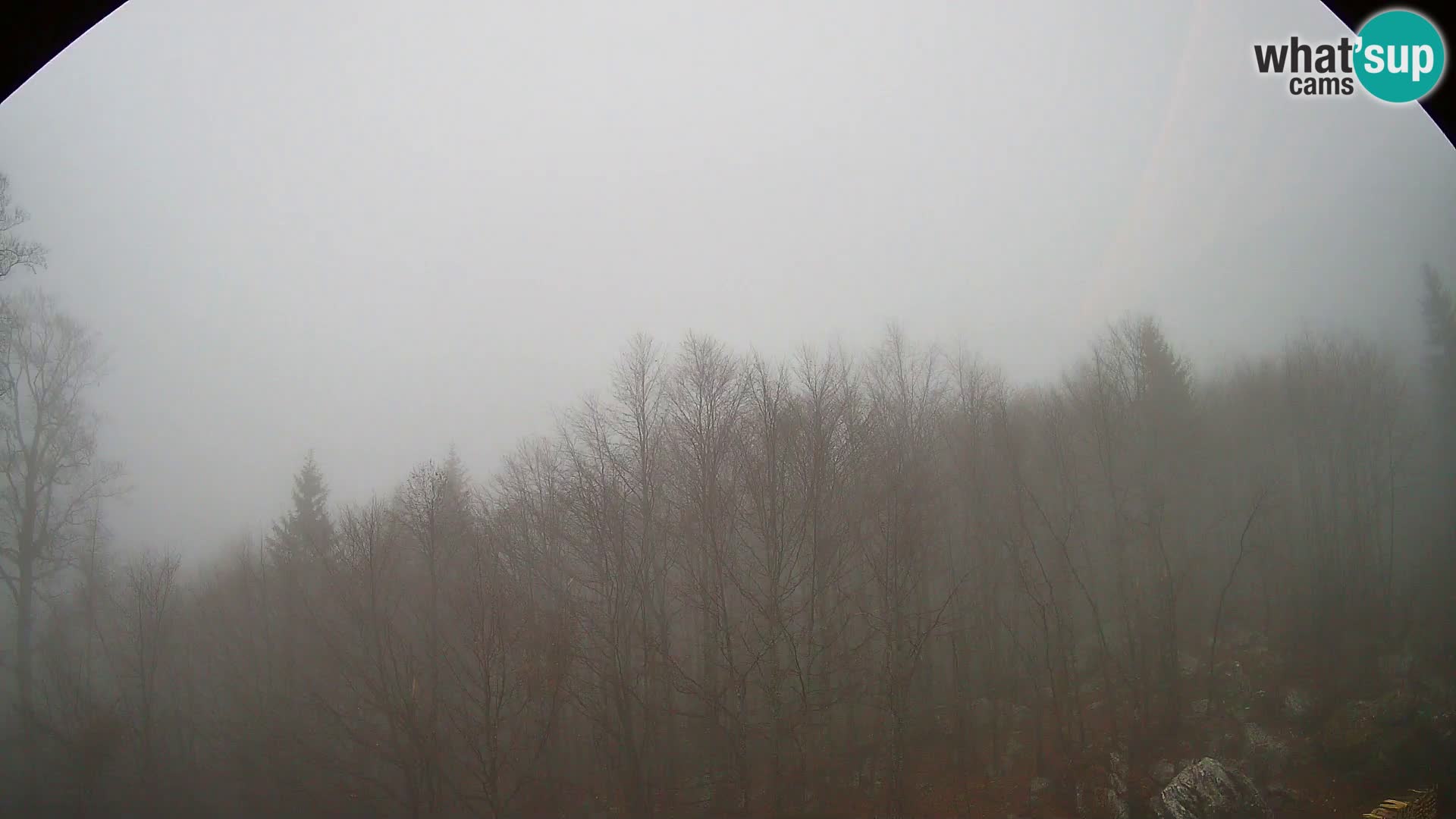 Livecam PLANINA RAZOR (1315) | vue sur Vogel et Globoko