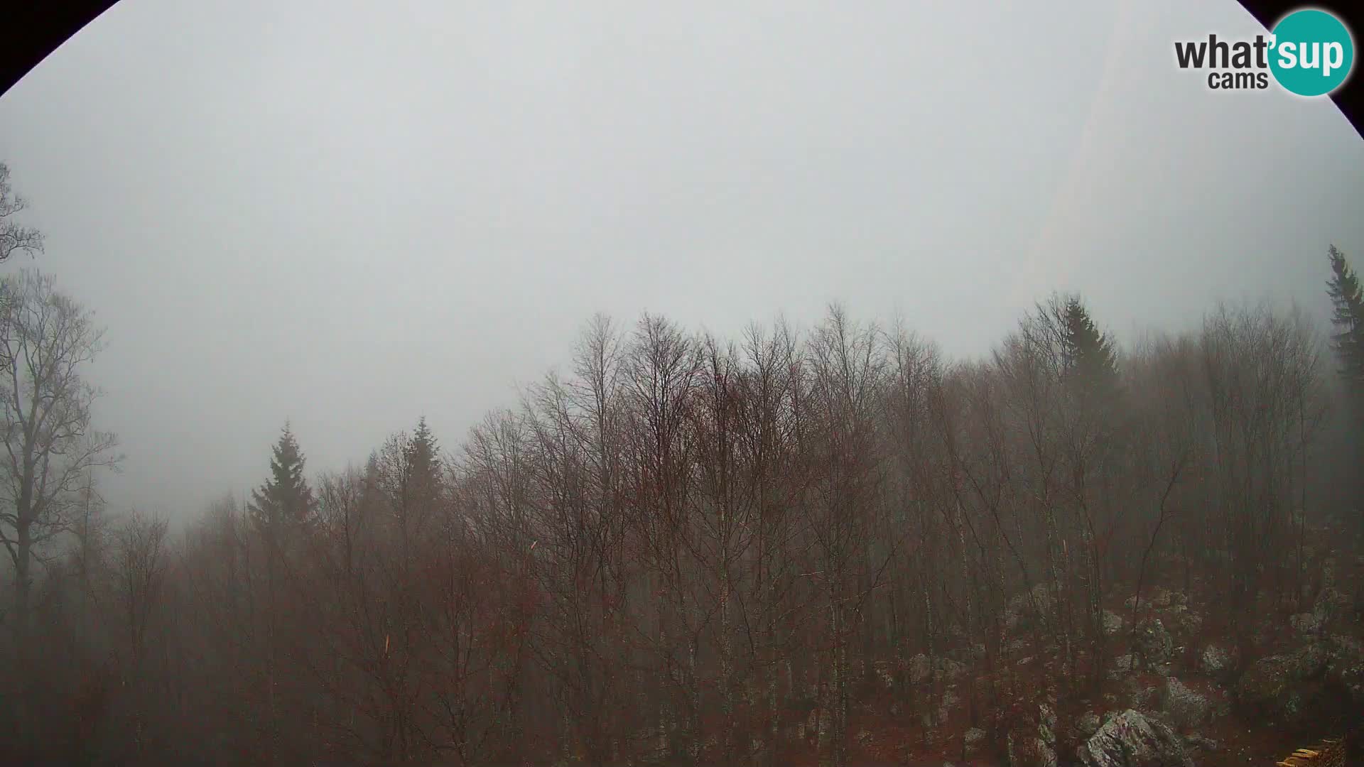 Cámara web PLANINA RAZOR (1315) | vista a Vogel y Globoko