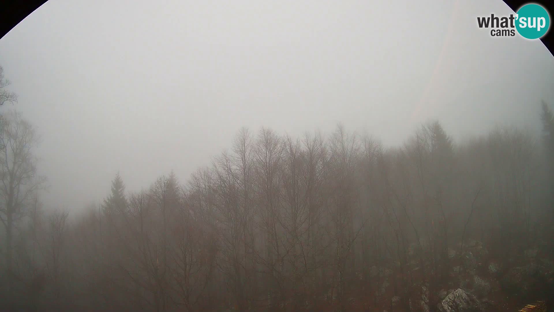 PLANINA RAZOR web kamera (1315) | pogled na Vogel i Globoko