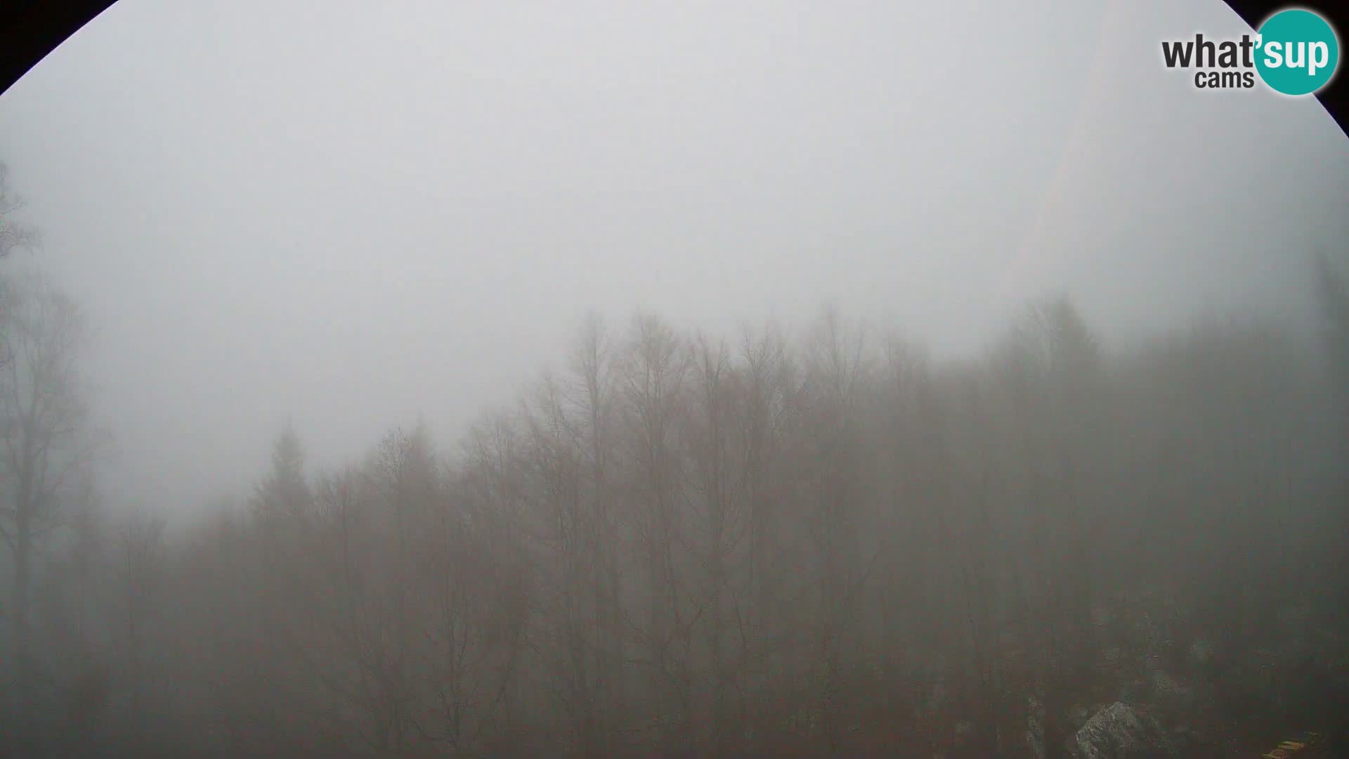 PLANINA RAZOR webcam (1315) | view to Vogel and Globoko