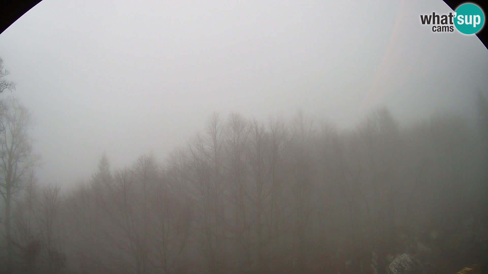 Webcam PLANINA RAZOR (1315) | Blick auf Vogel und Globoko