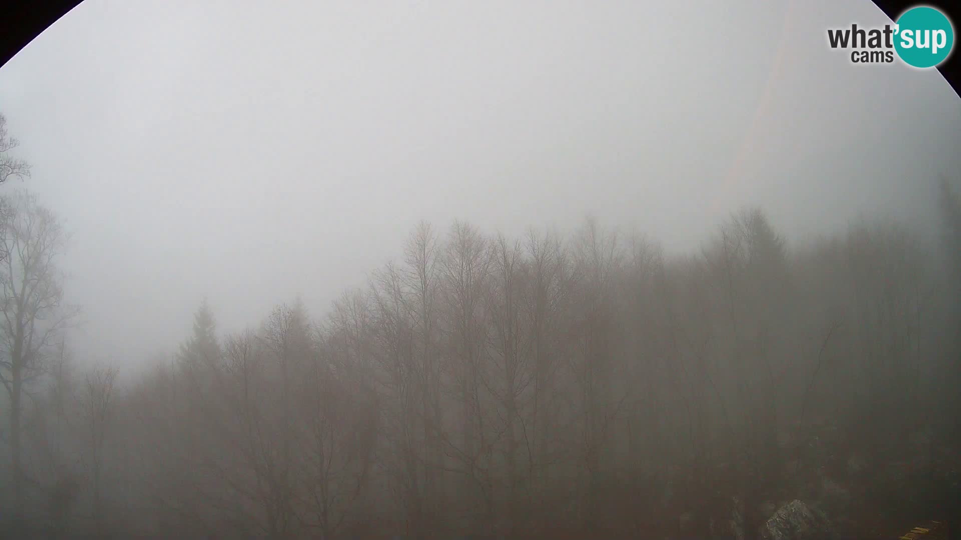 PLANINA RAZOR webcam (1315) | view to Vogel and Globoko