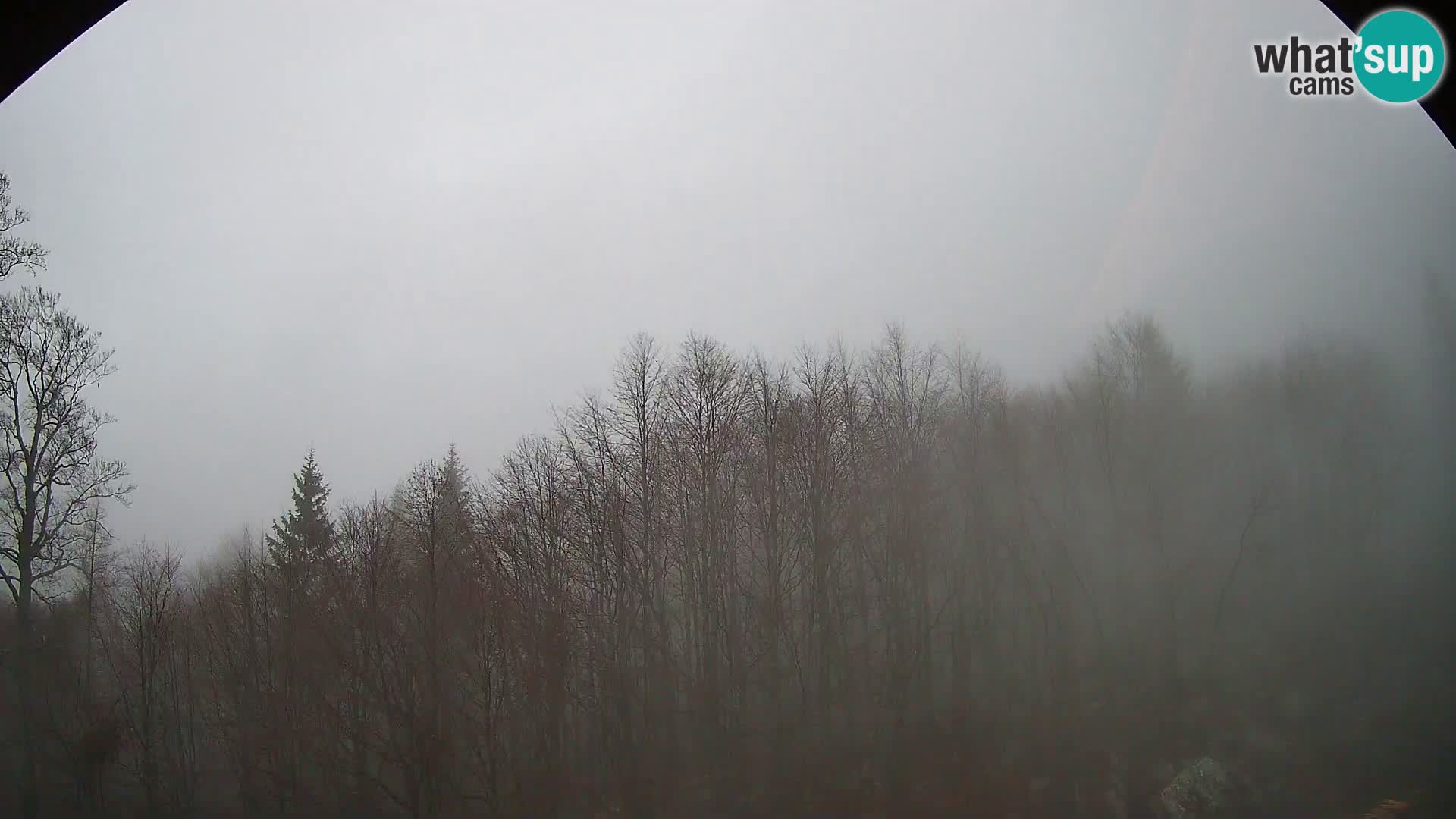 PLANINA RAZOR web kamera (1315) | pogled na Vogel i Globoko