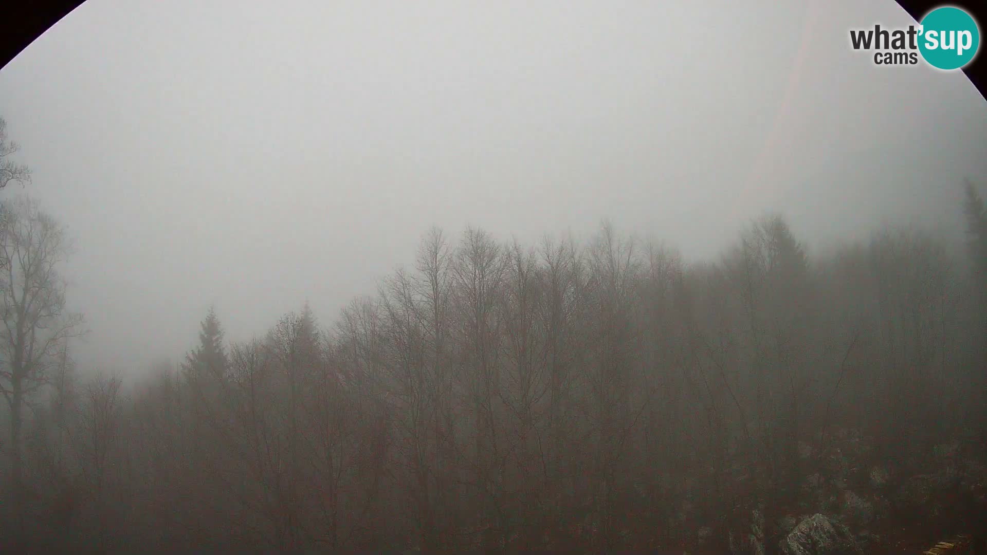 PLANINA RAZOR web kamera (1315) | pogled na Vogel i Globoko