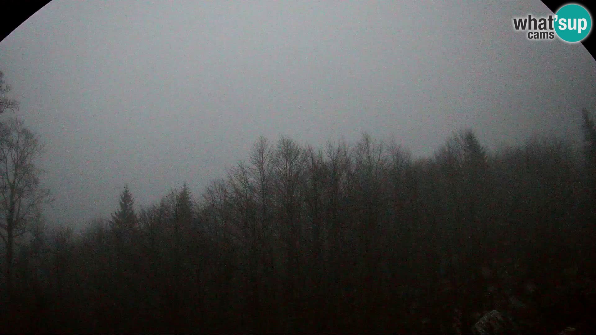 Cámara web PLANINA RAZOR (1315) | vista a Vogel y Globoko