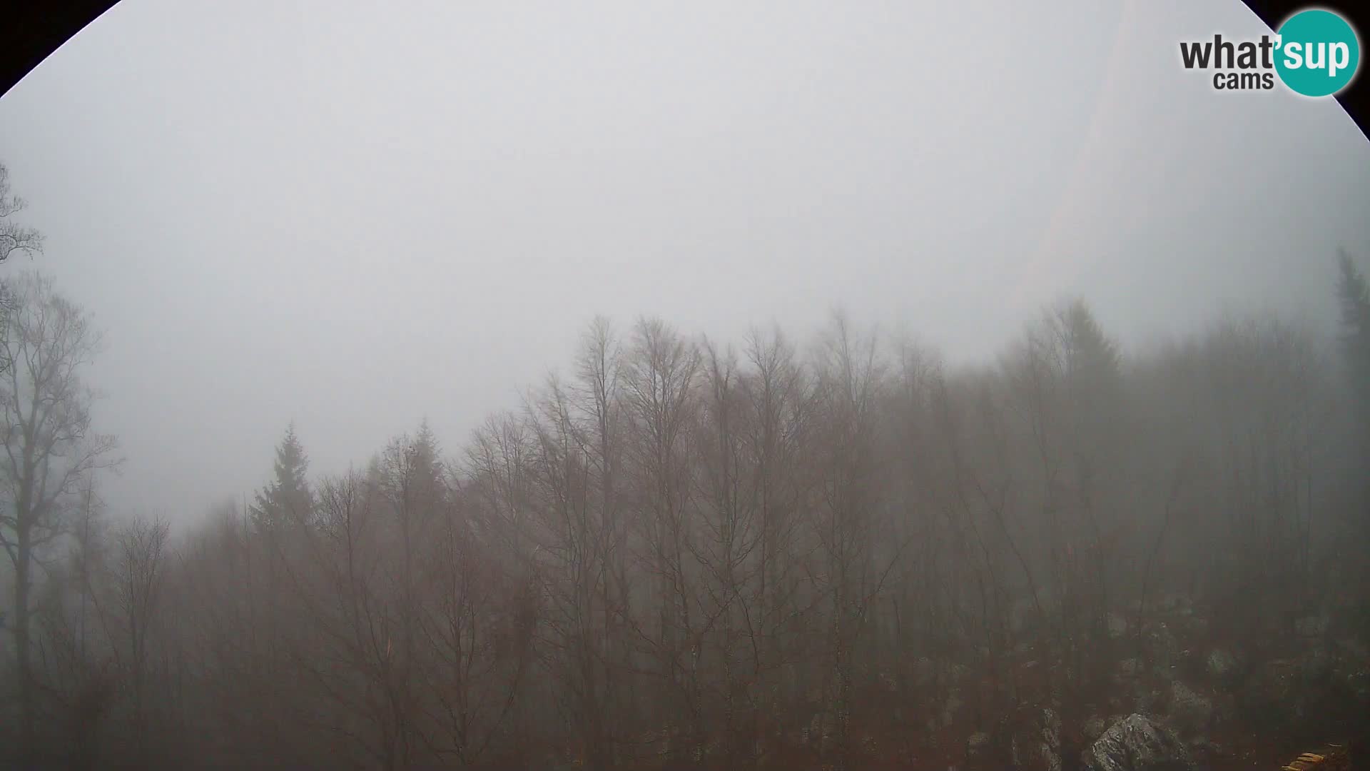 Webcam PLANINA RAZOR (1315) | Blick auf Vogel und Globoko