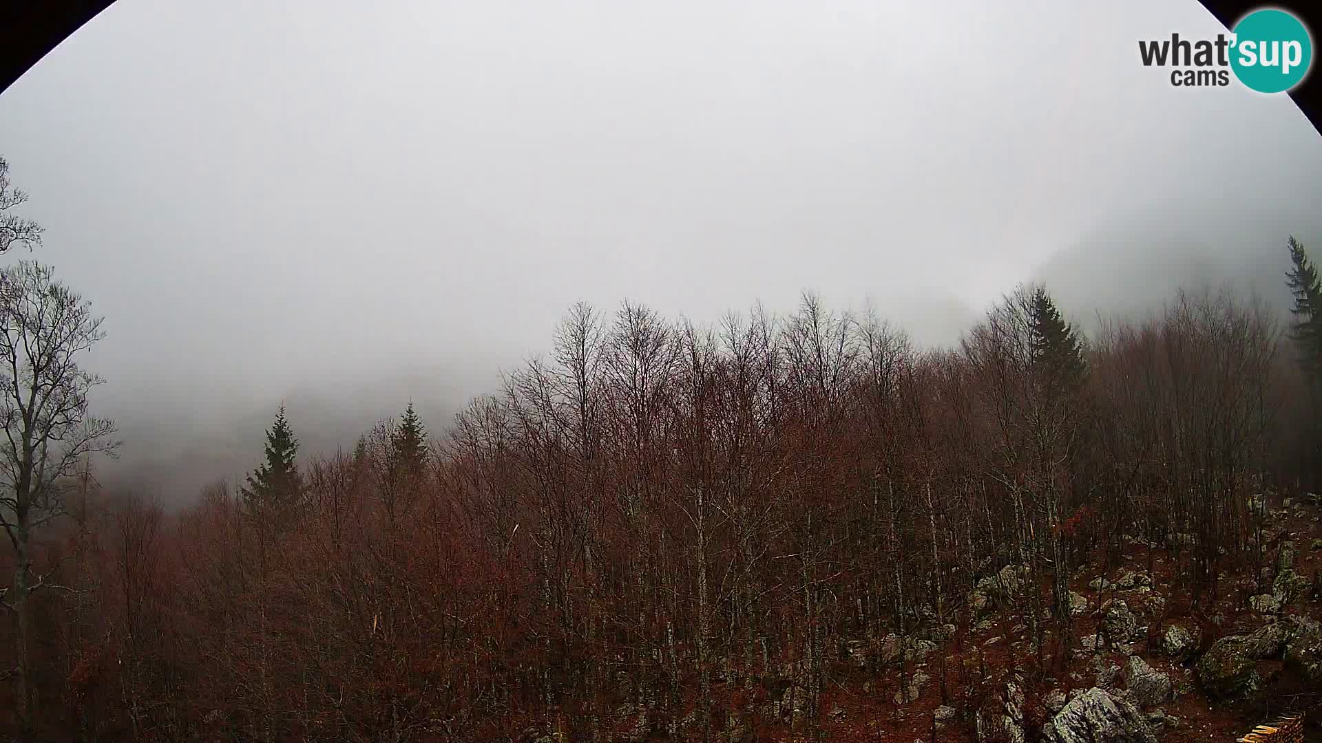 PLANINA RAZOR kamera (1315) | pogled na Vogel in Globoko