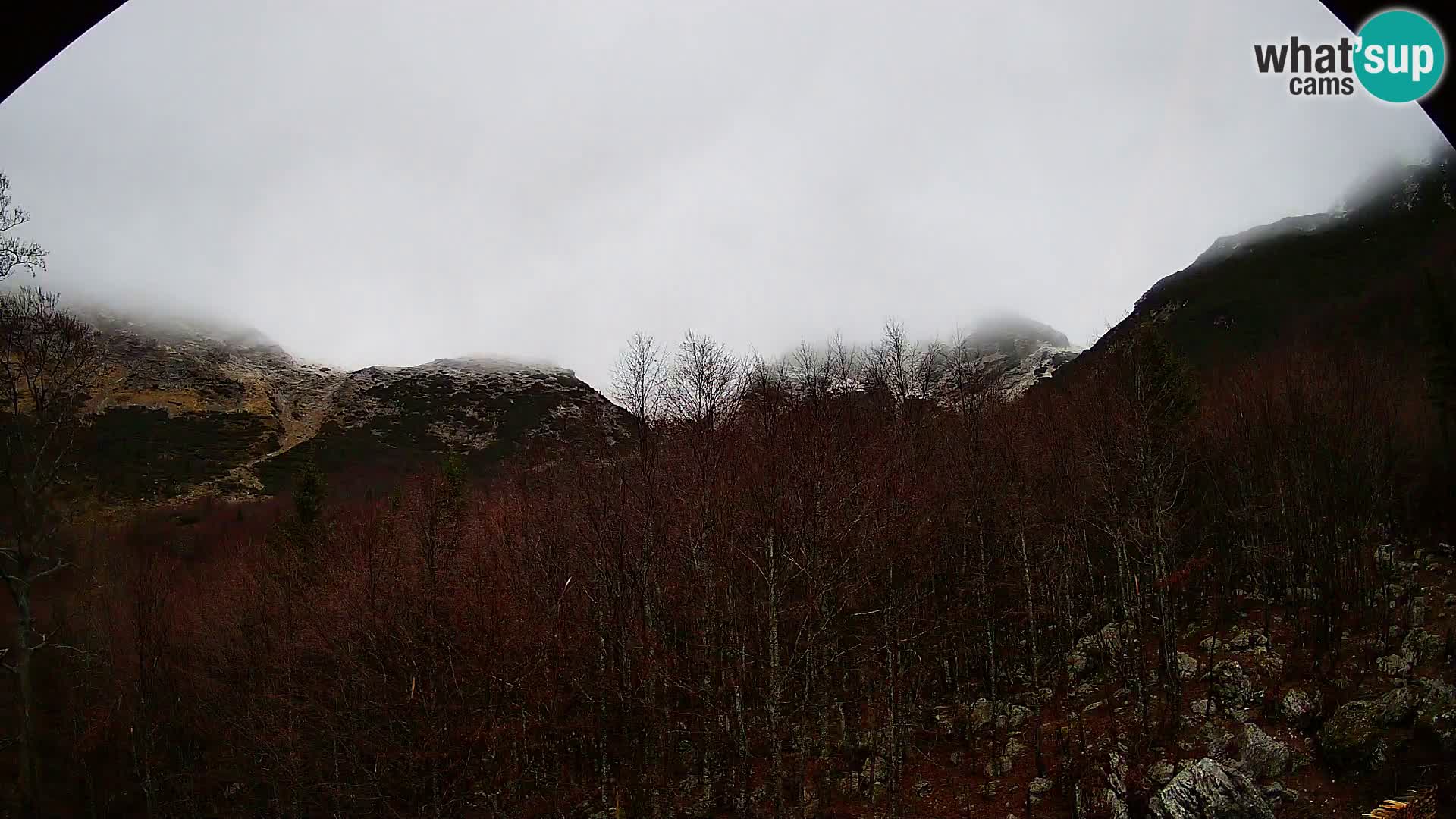 PLANINA RAZOR webcam (1315) | view to Vogel and Globoko