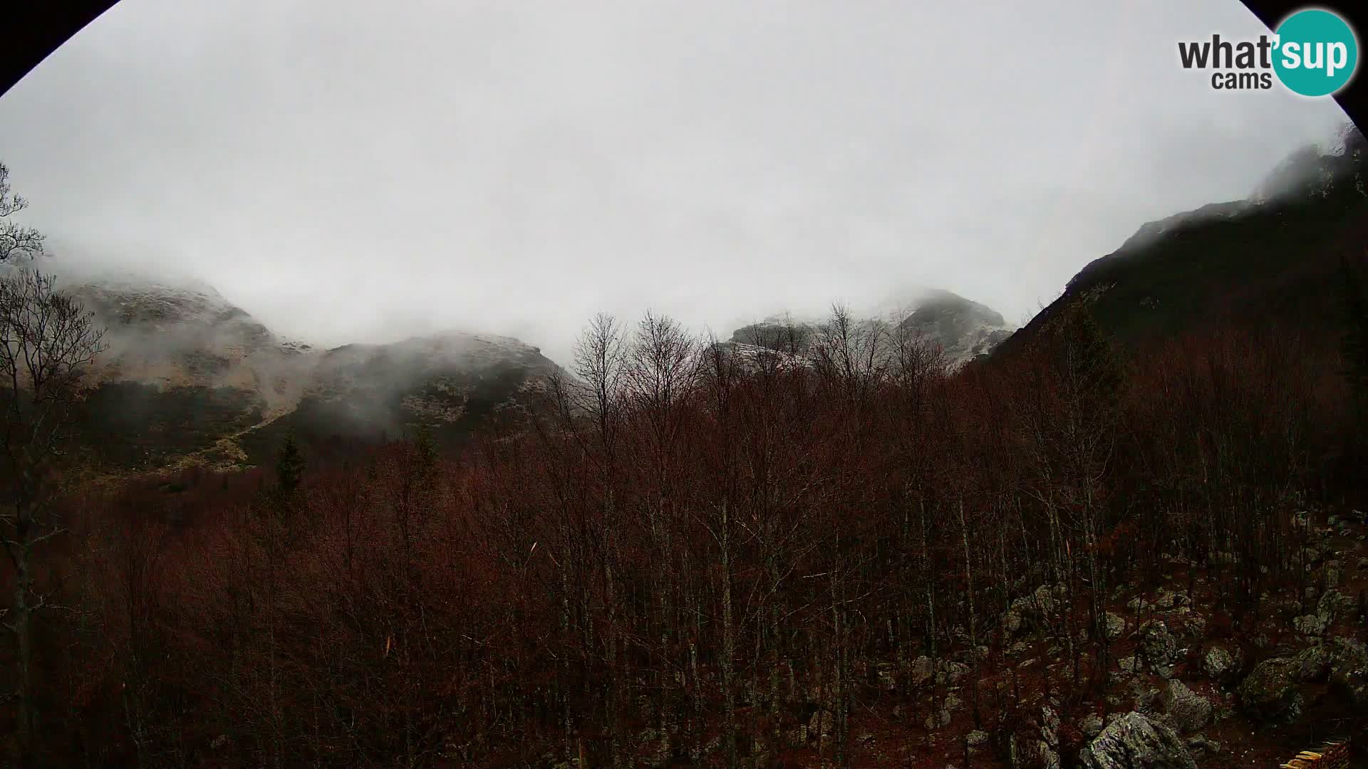 PLANINA RAZOR kamera (1315) | pogled na Vogel in Globoko