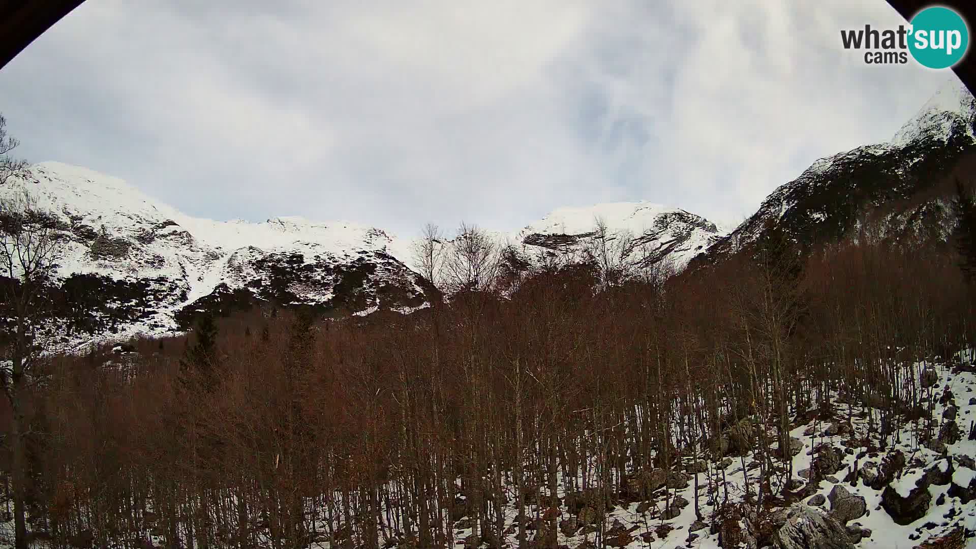 PLANINA RAZOR web kamera (1315) | pogled na Vogel i Globoko