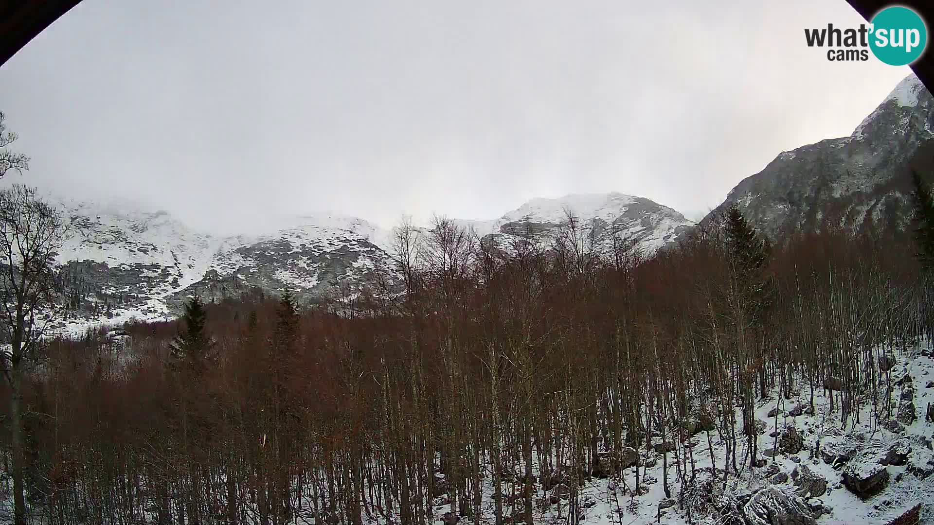 PLANINA RAZOR webcam (1315) | view to Vogel and Globoko