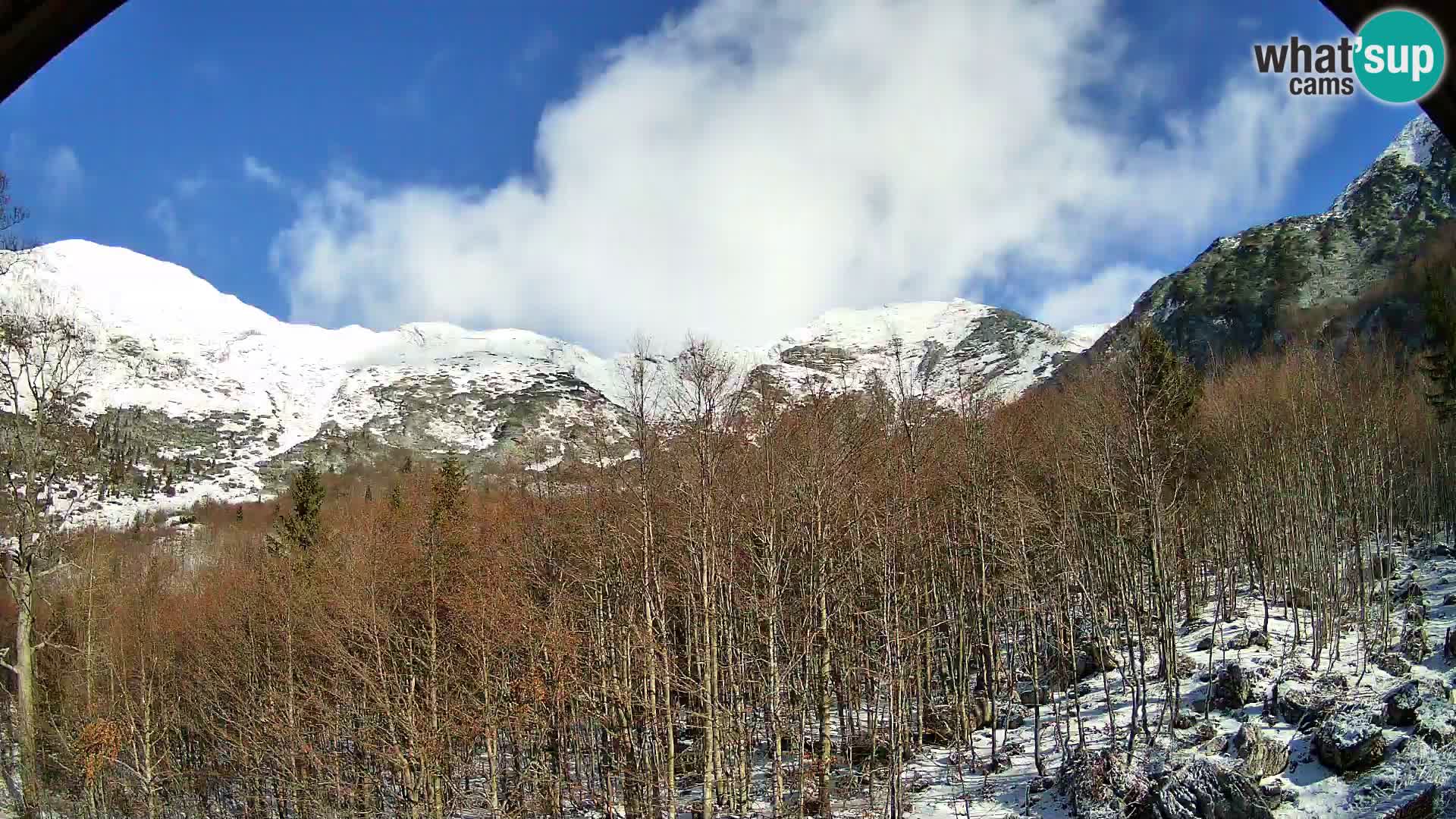 PLANINA RAZOR webcam (1315) | view to Vogel and Globoko