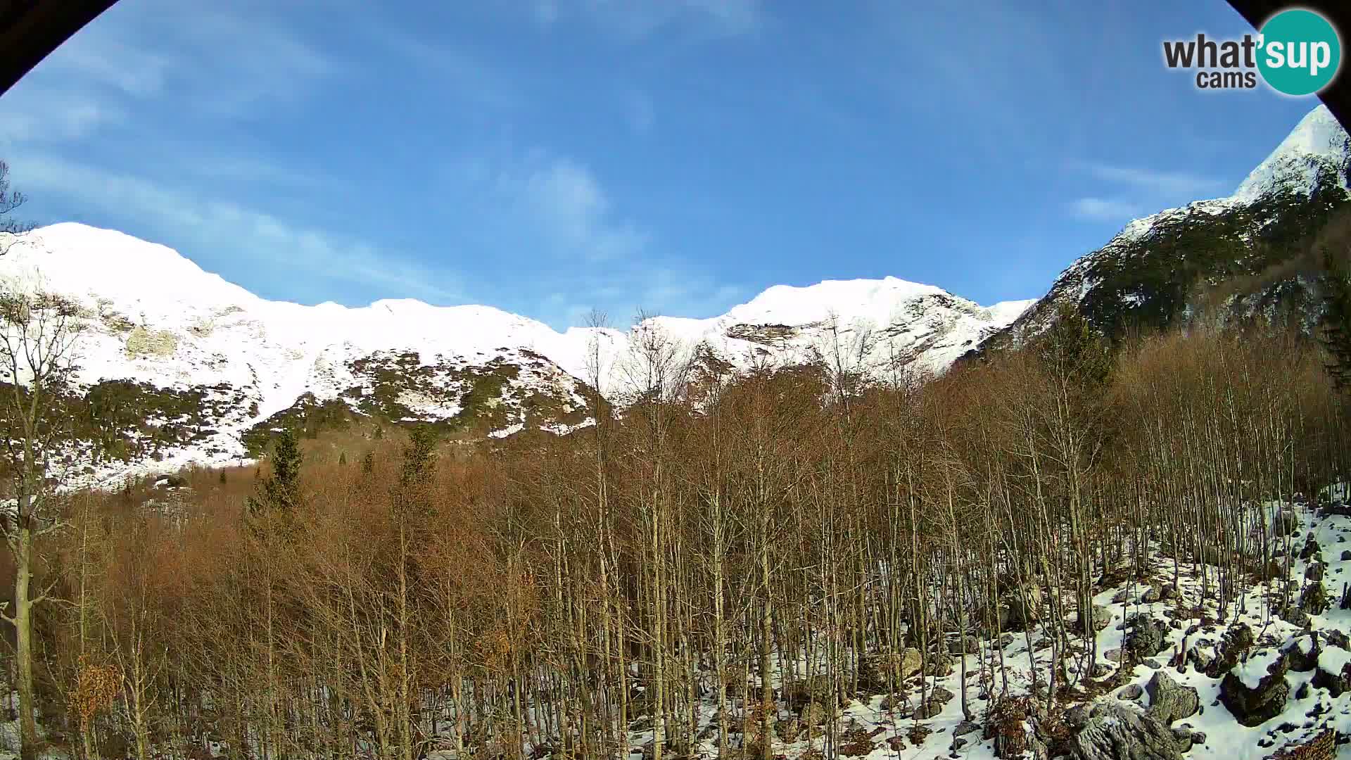 Webcam PLANINA RAZOR (1315) | Blick auf Vogel und Globoko