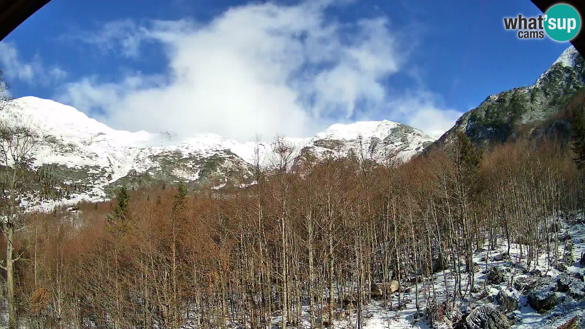 PLANINA RAZOR Live Cam (1315) | vista su Vogel e Globoko