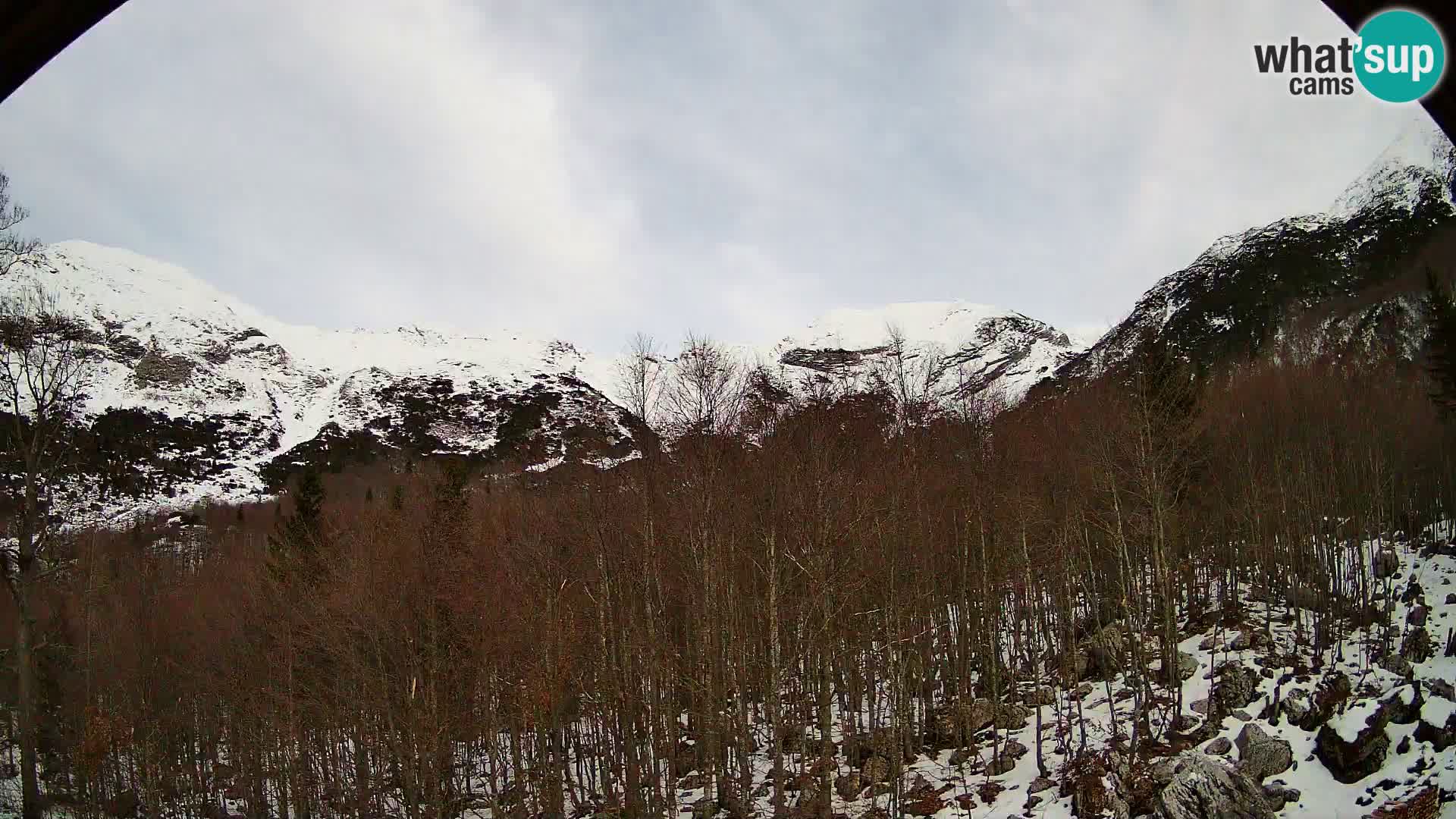 PLANINA RAZOR web kamera (1315) | pogled na Vogel i Globoko
