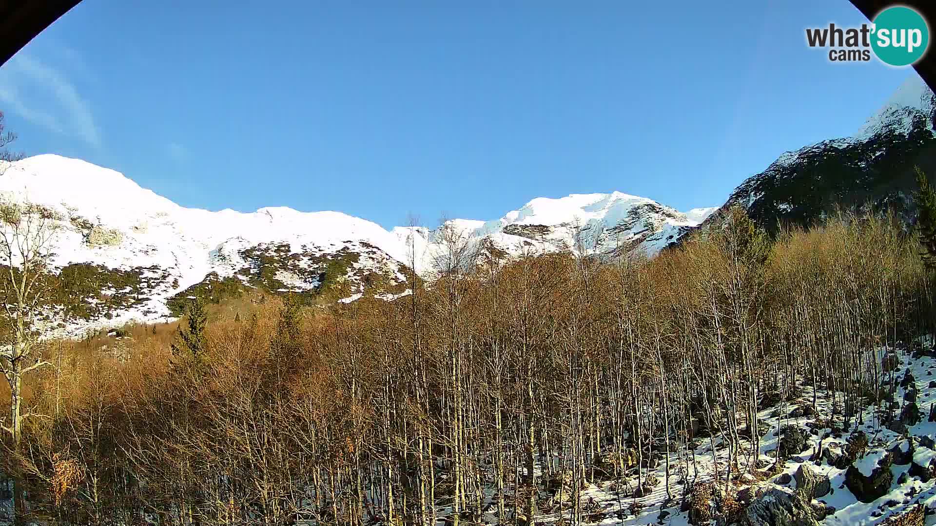 Livecam PLANINA RAZOR (1315) | vue sur Vogel et Globoko