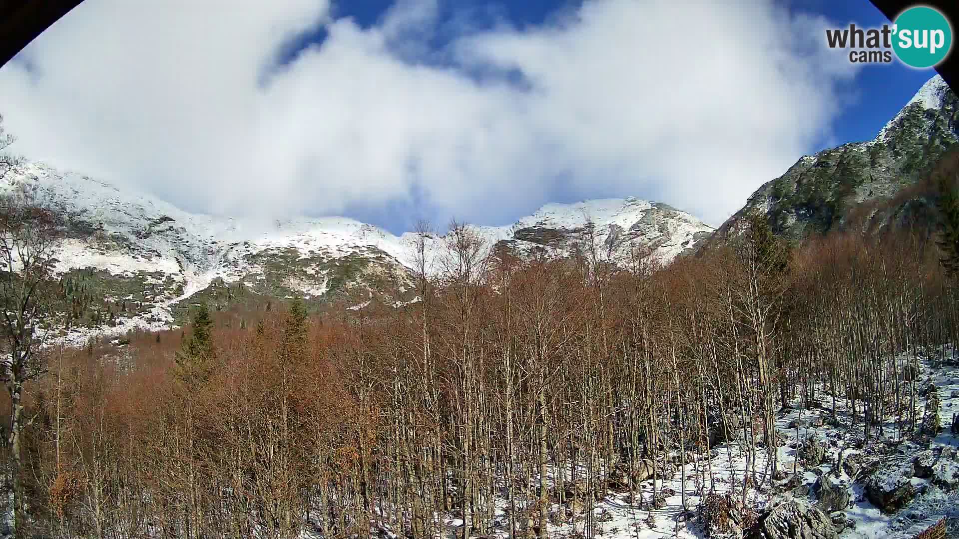 Cámara web PLANINA RAZOR (1315) | vista a Vogel y Globoko