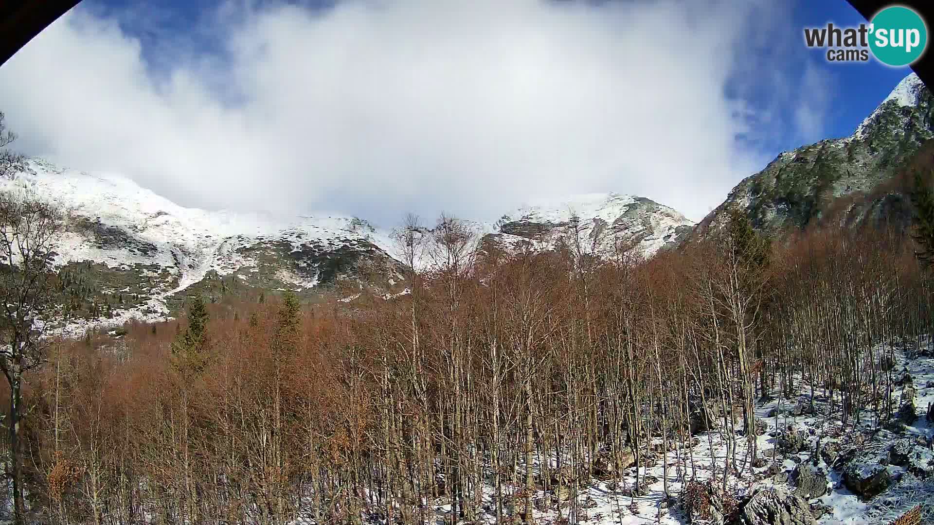 Livecam PLANINA RAZOR (1315) | vue sur Vogel et Globoko