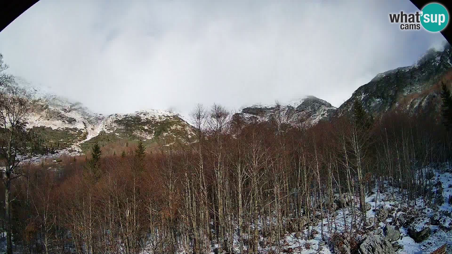 Cámara web PLANINA RAZOR (1315) | vista a Vogel y Globoko