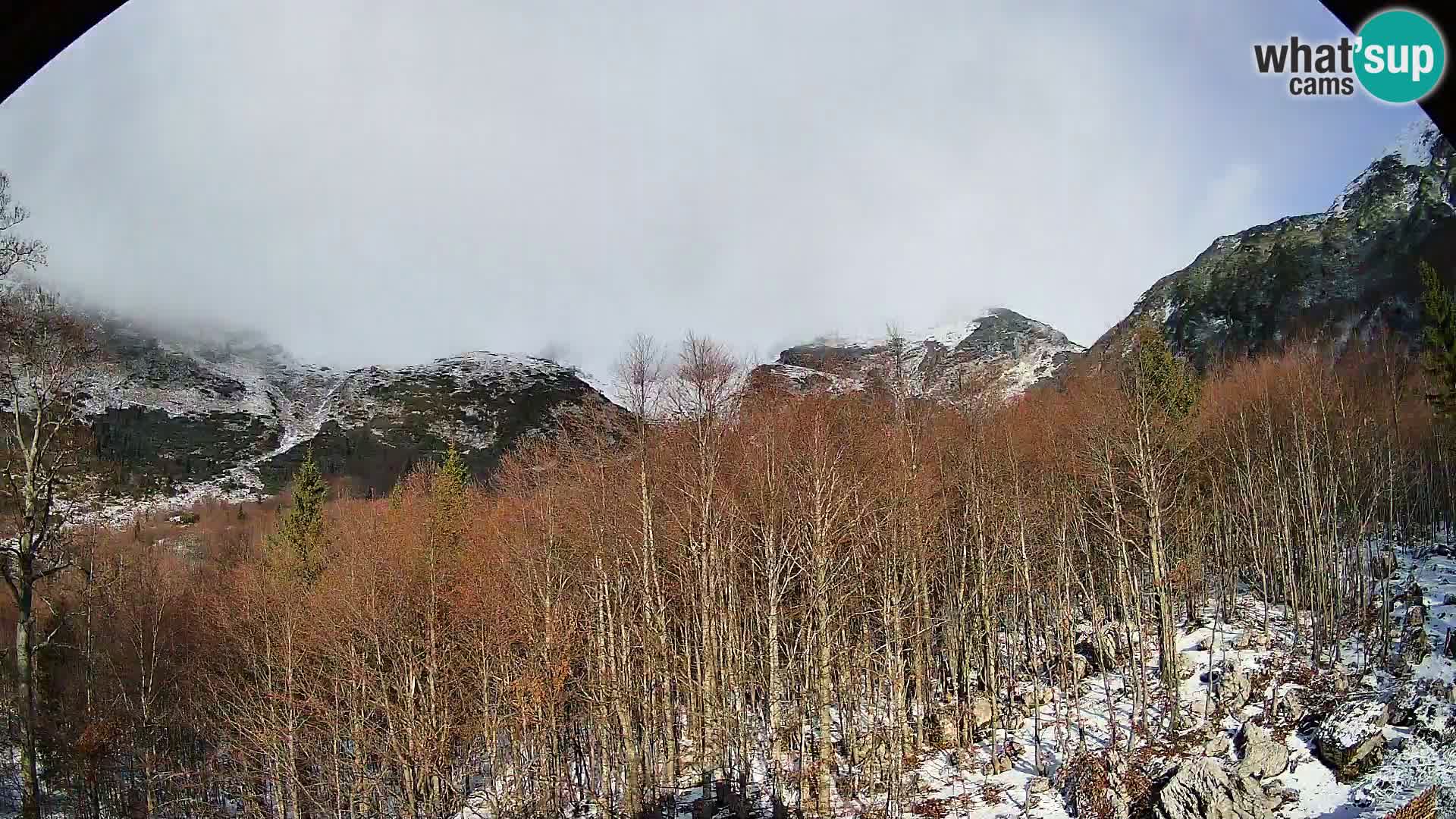 Webcam PLANINA RAZOR (1315) | Blick auf Vogel und Globoko