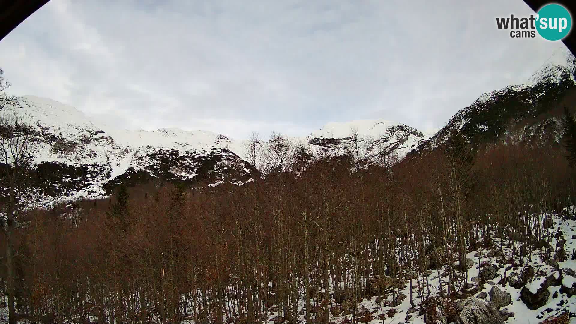 Webcam PLANINA RAZOR (1315) | Blick auf Vogel und Globoko