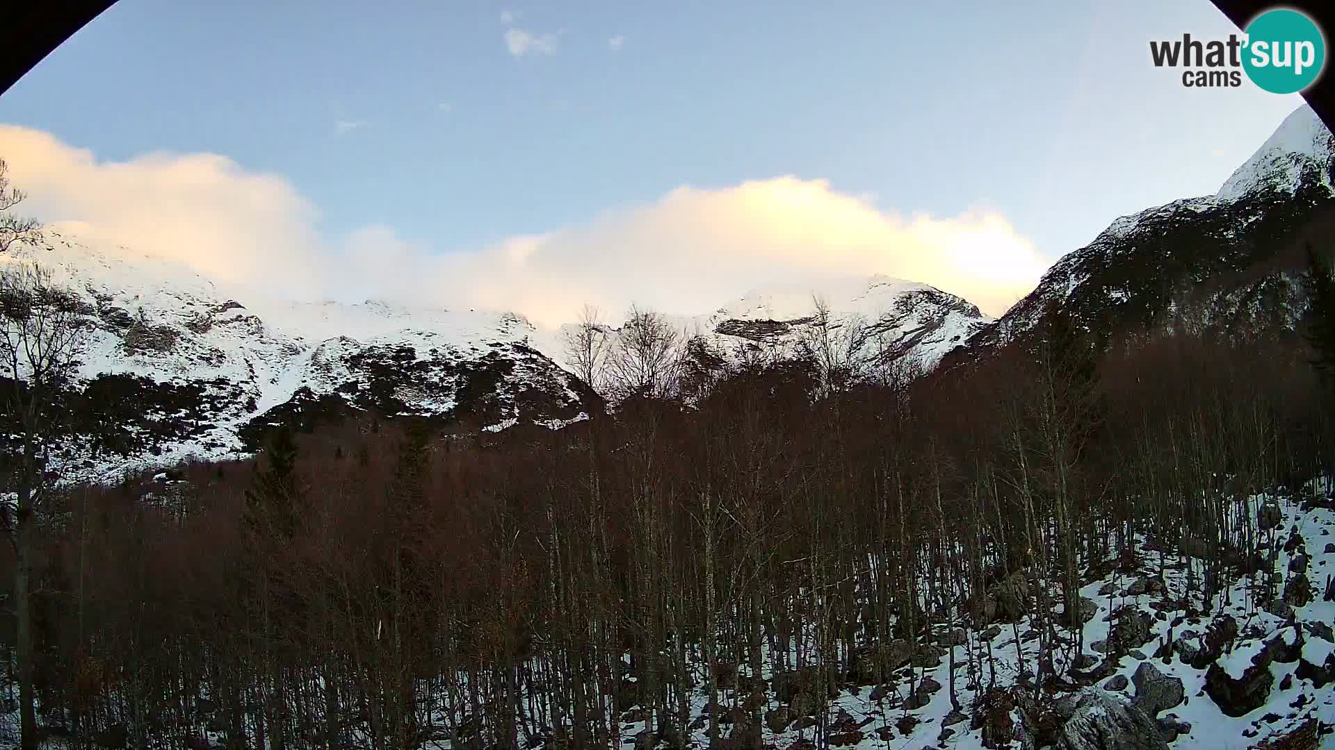 PLANINA RAZOR webcam (1315) | view to Vogel and Globoko