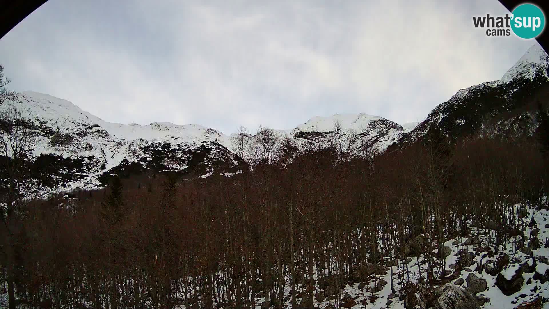 PLANINA RAZOR webcam (1315) | view to Vogel and Globoko