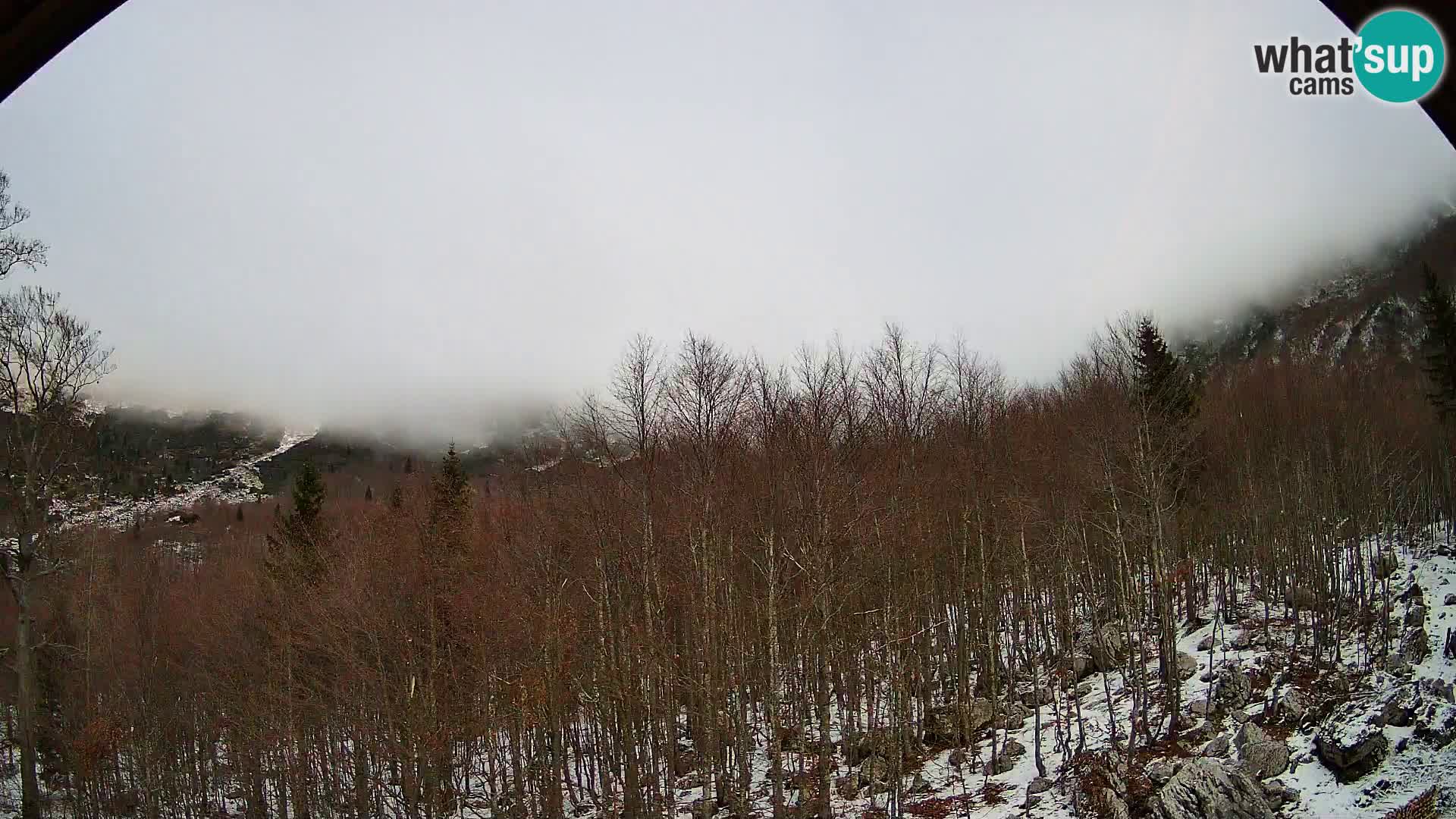 Livecam PLANINA RAZOR (1315) | vue sur Vogel et Globoko