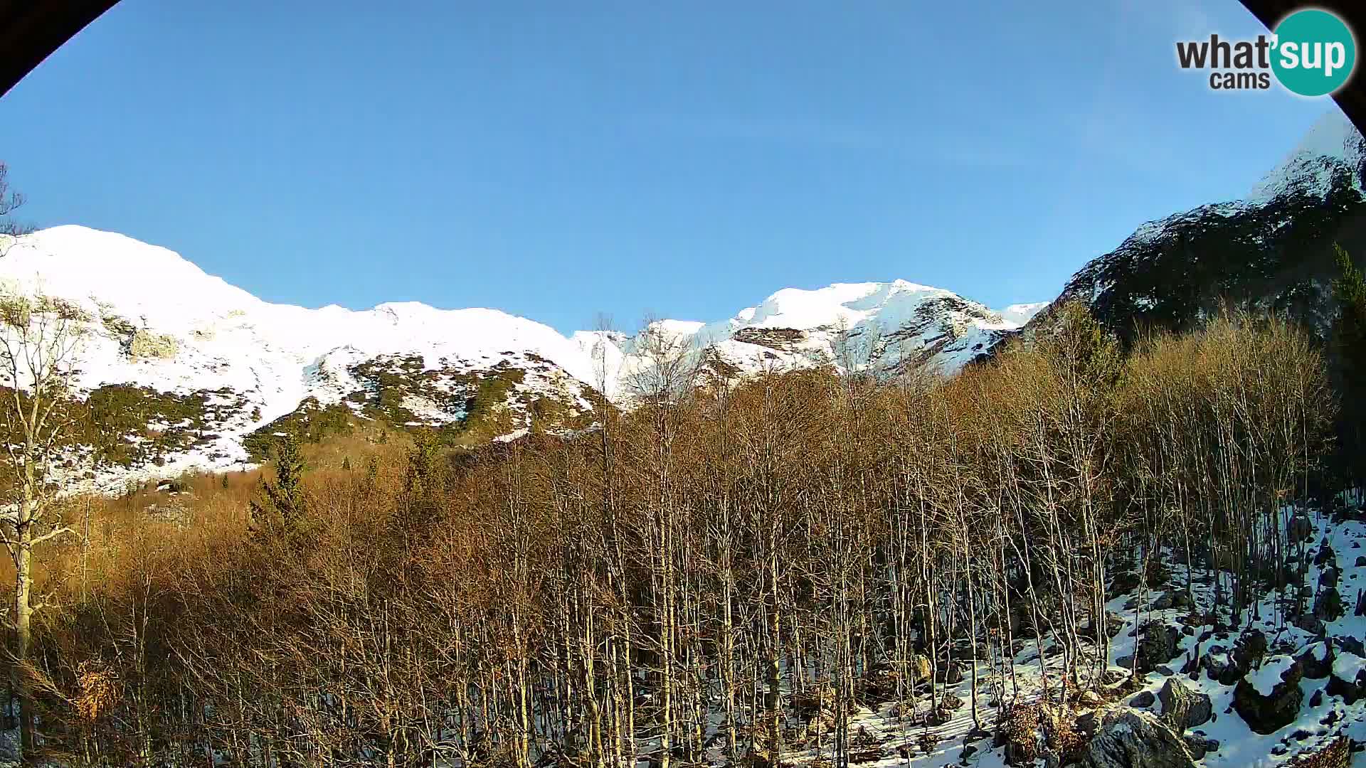 PLANINA RAZOR Live Cam (1315) | vista su Vogel e Globoko